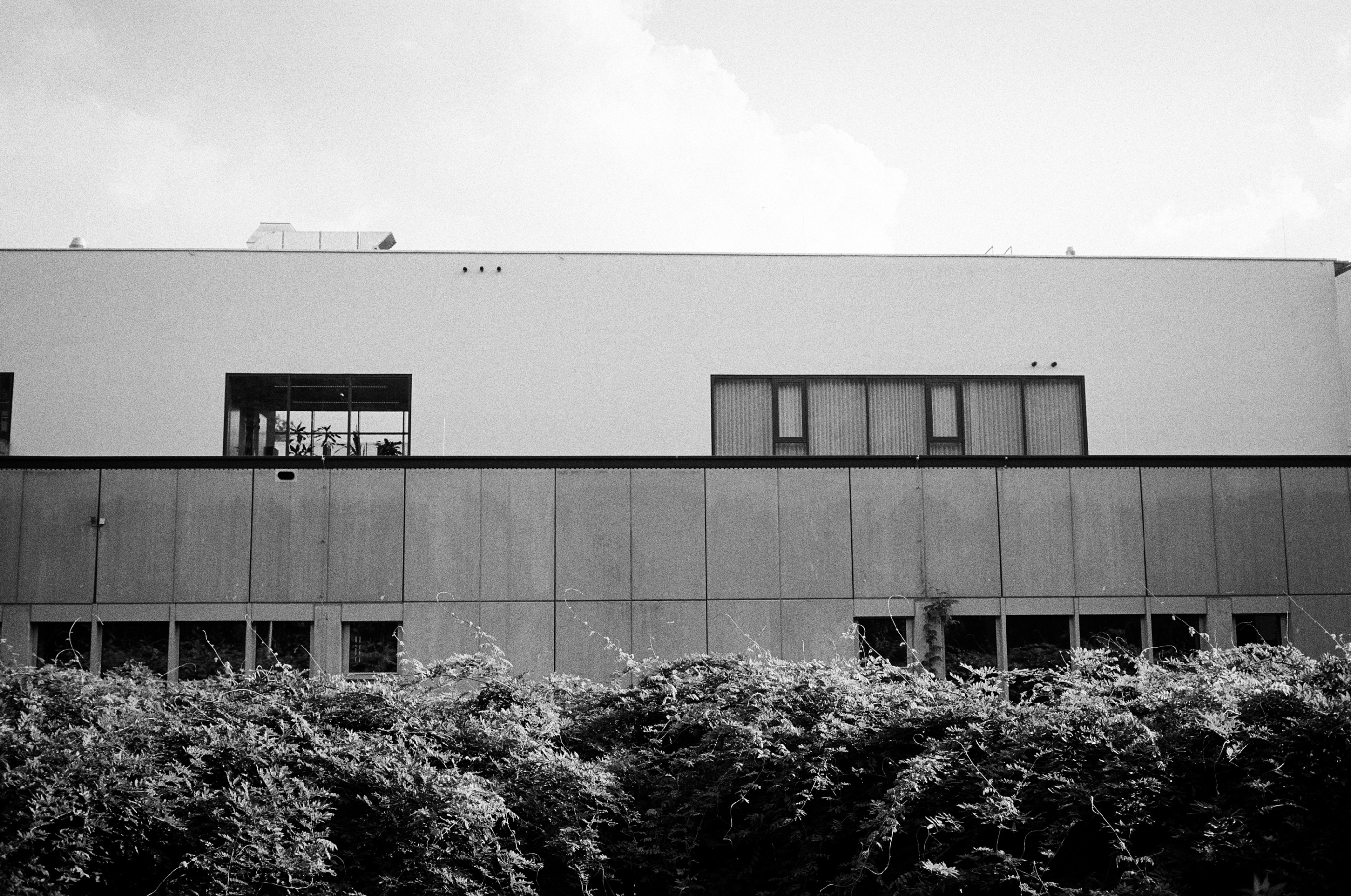 Leica MP 000022710021