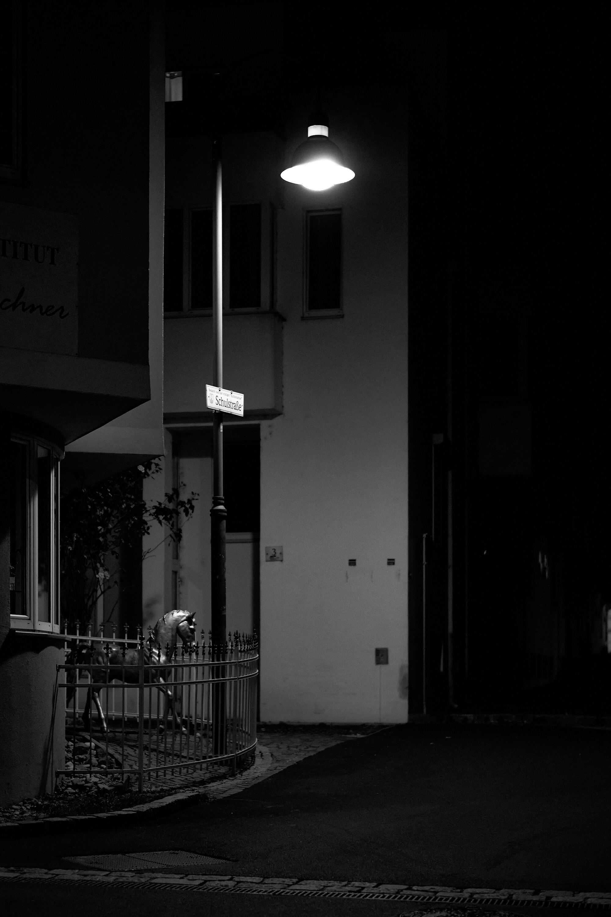 Leica Camera AG LEICA M11 D L1000803
