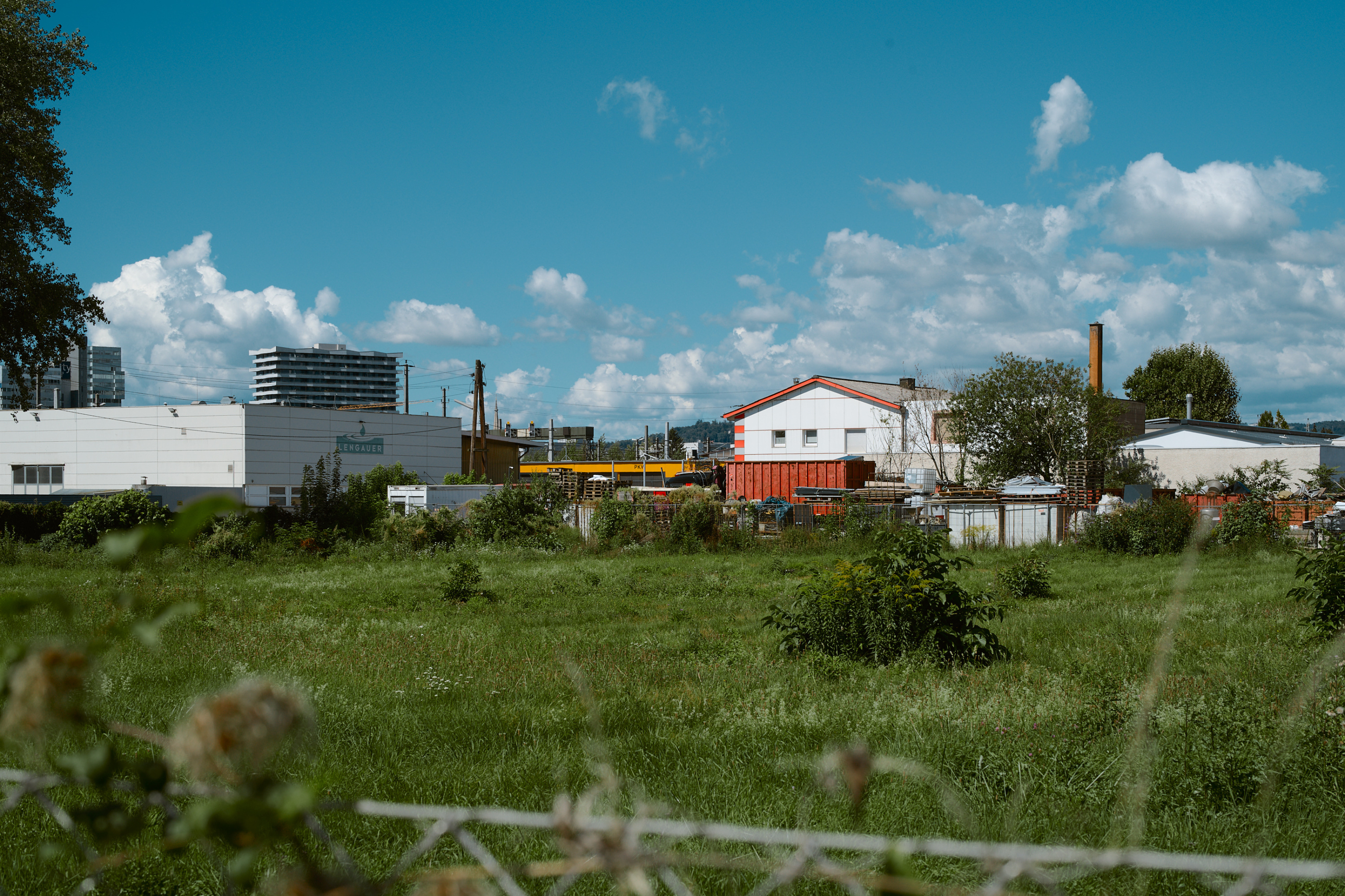 Leica Camera AG LEICA M11 D L1000866