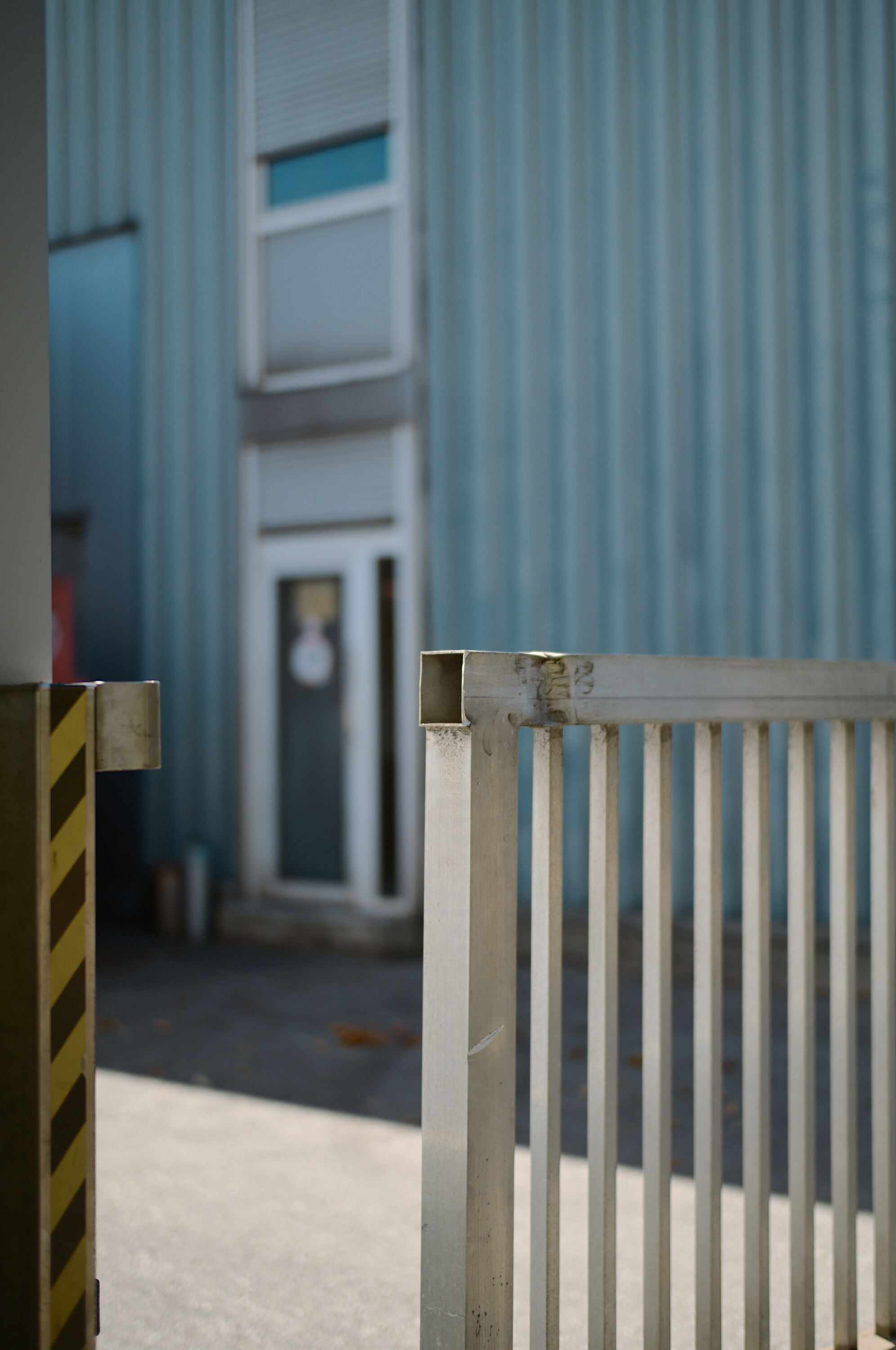 Leica Camera AG LEICA M11 D L1000898