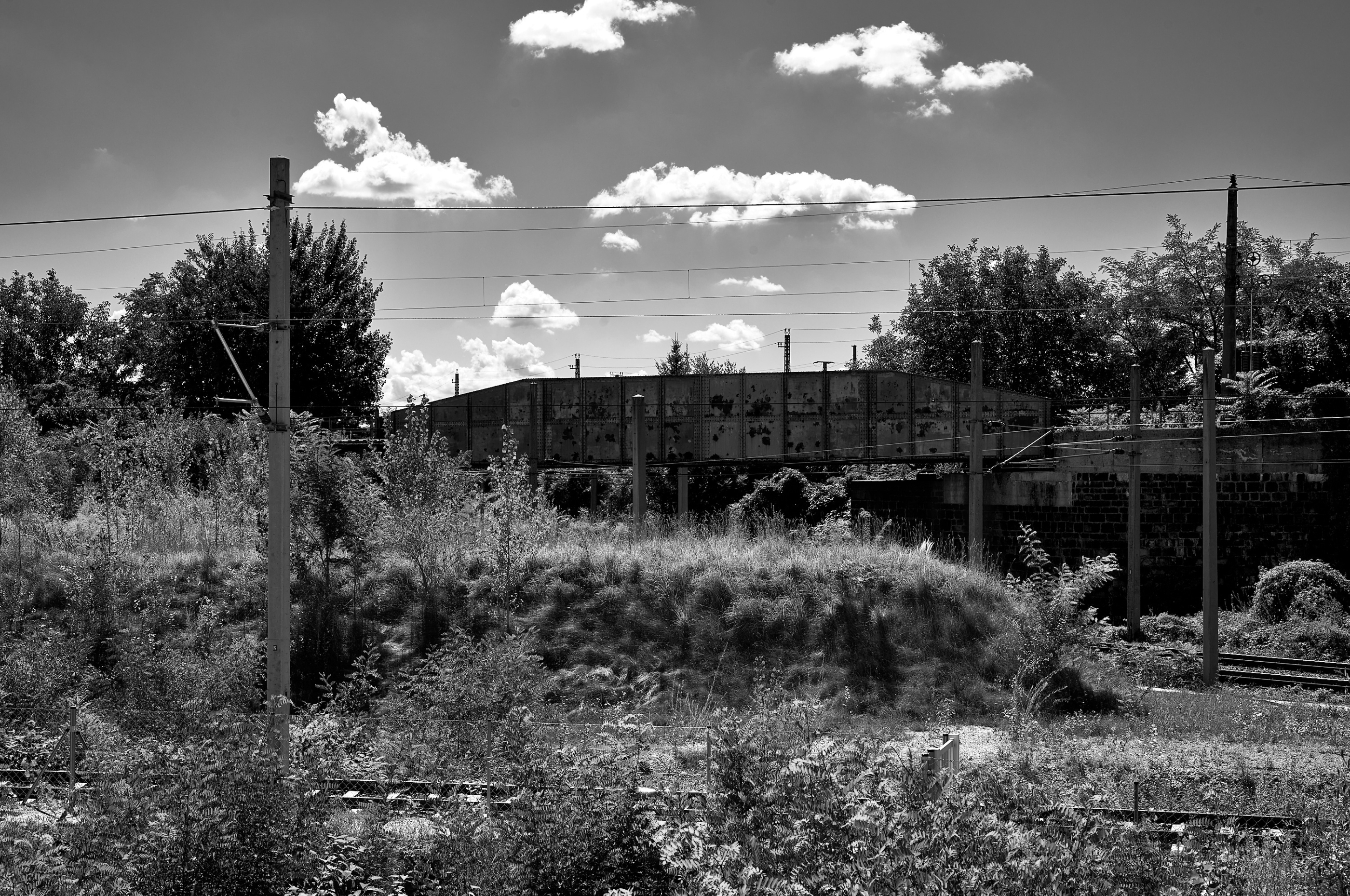 Leica Camera AG LEICA M11 D L1000918