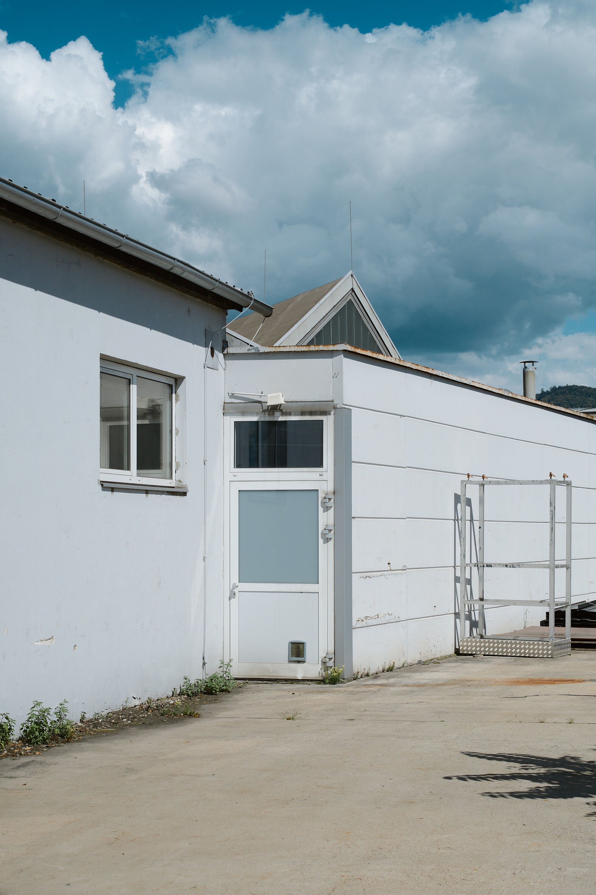 Leica Camera AG LEICA M11 D L1000920