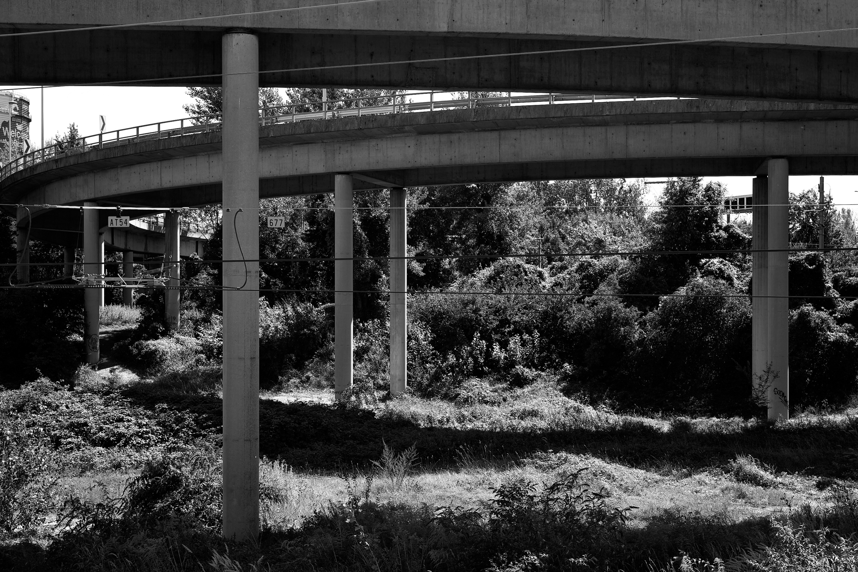 Leica Camera AG LEICA M11 D L1000931