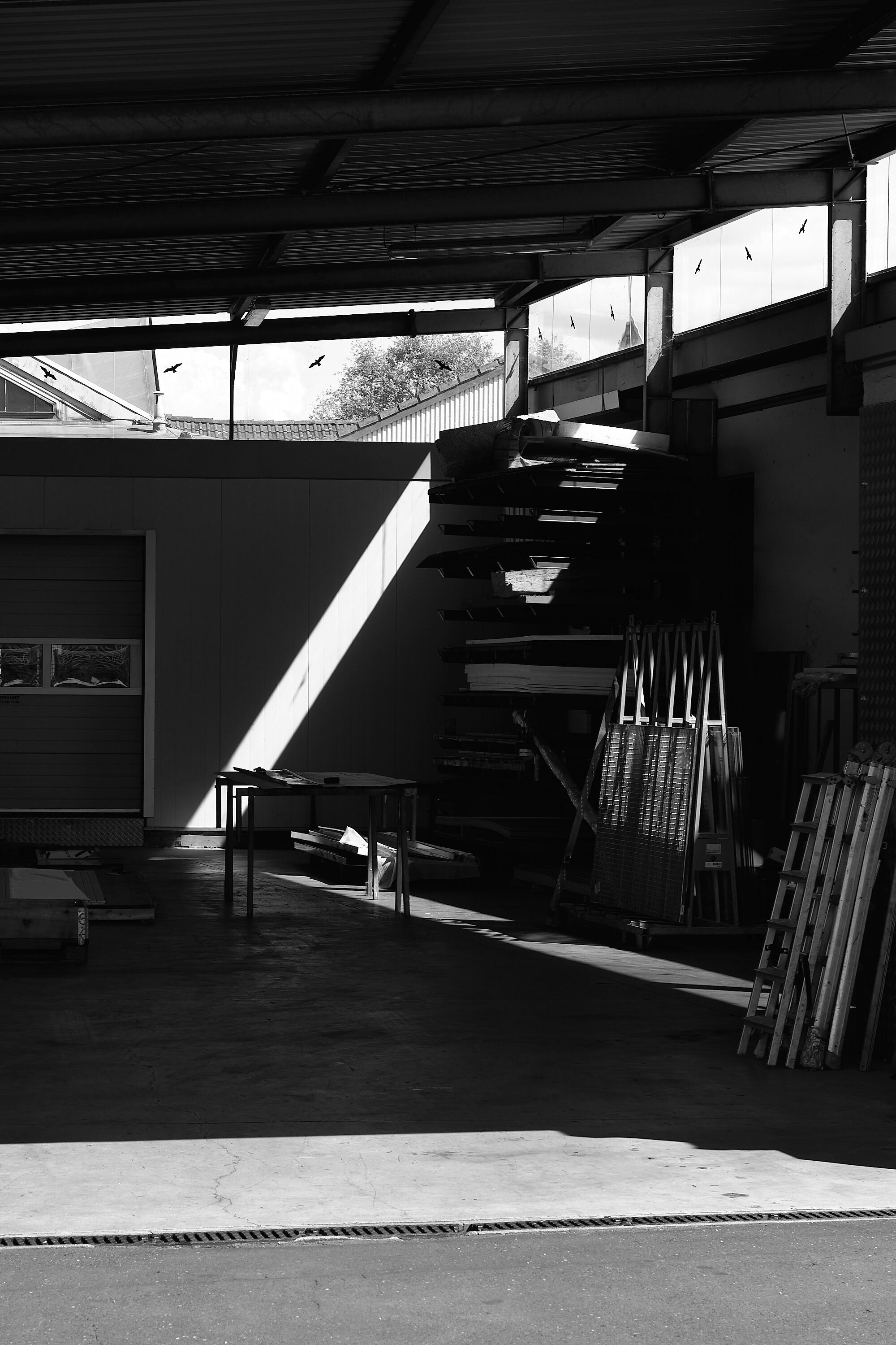 Leica Camera AG LEICA M11 D L1000940