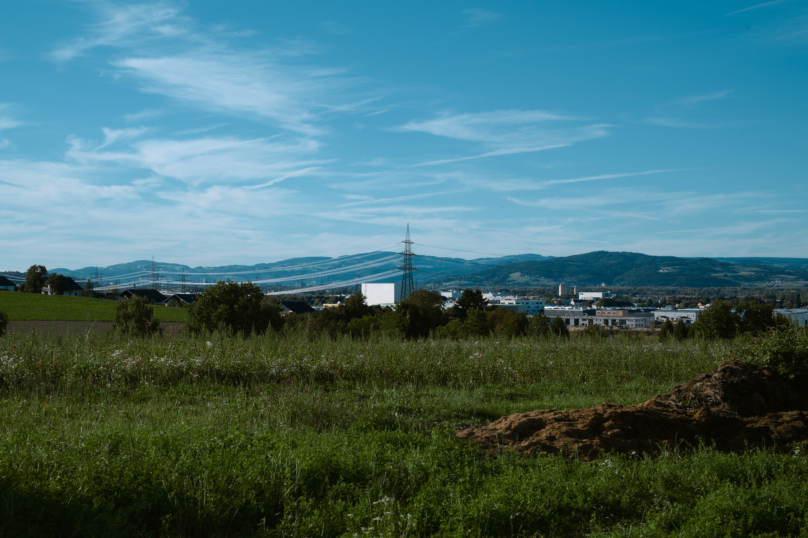 Leica Camera AG LEICA M11 P L1004913