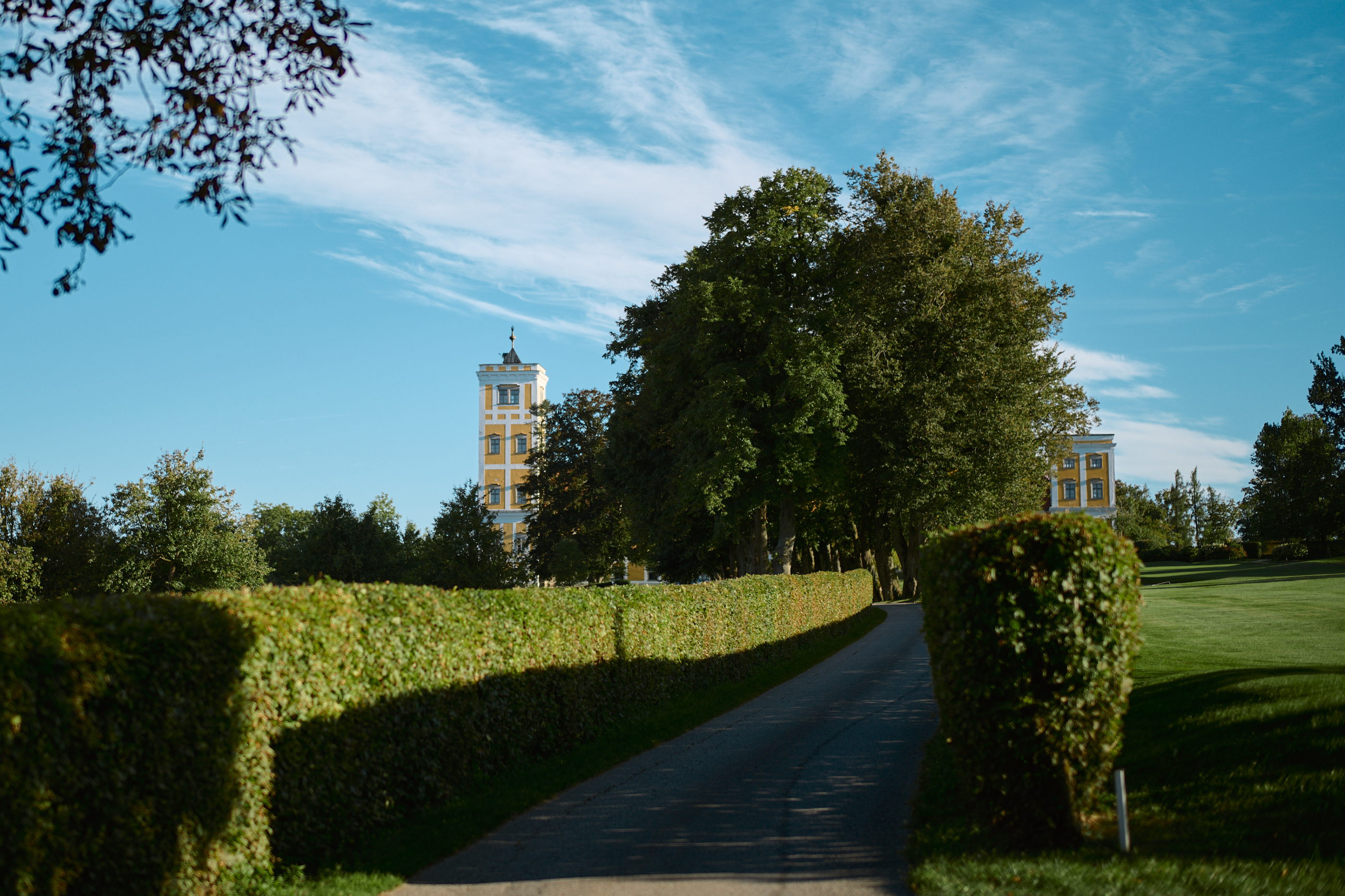 Leica Camera AG LEICA M11 P L1004925