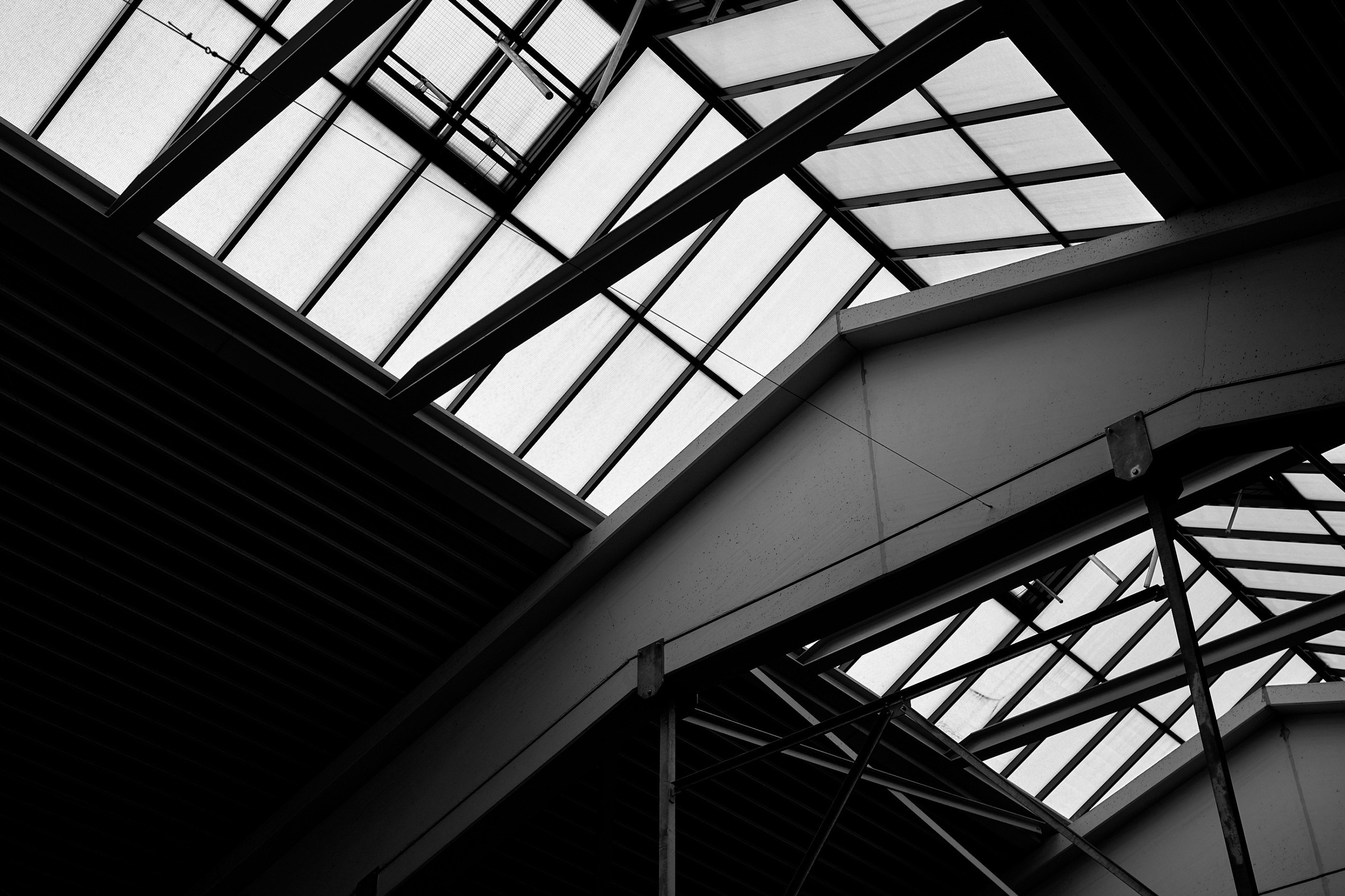 Leica Camera AG LEICA M11 D L1000973