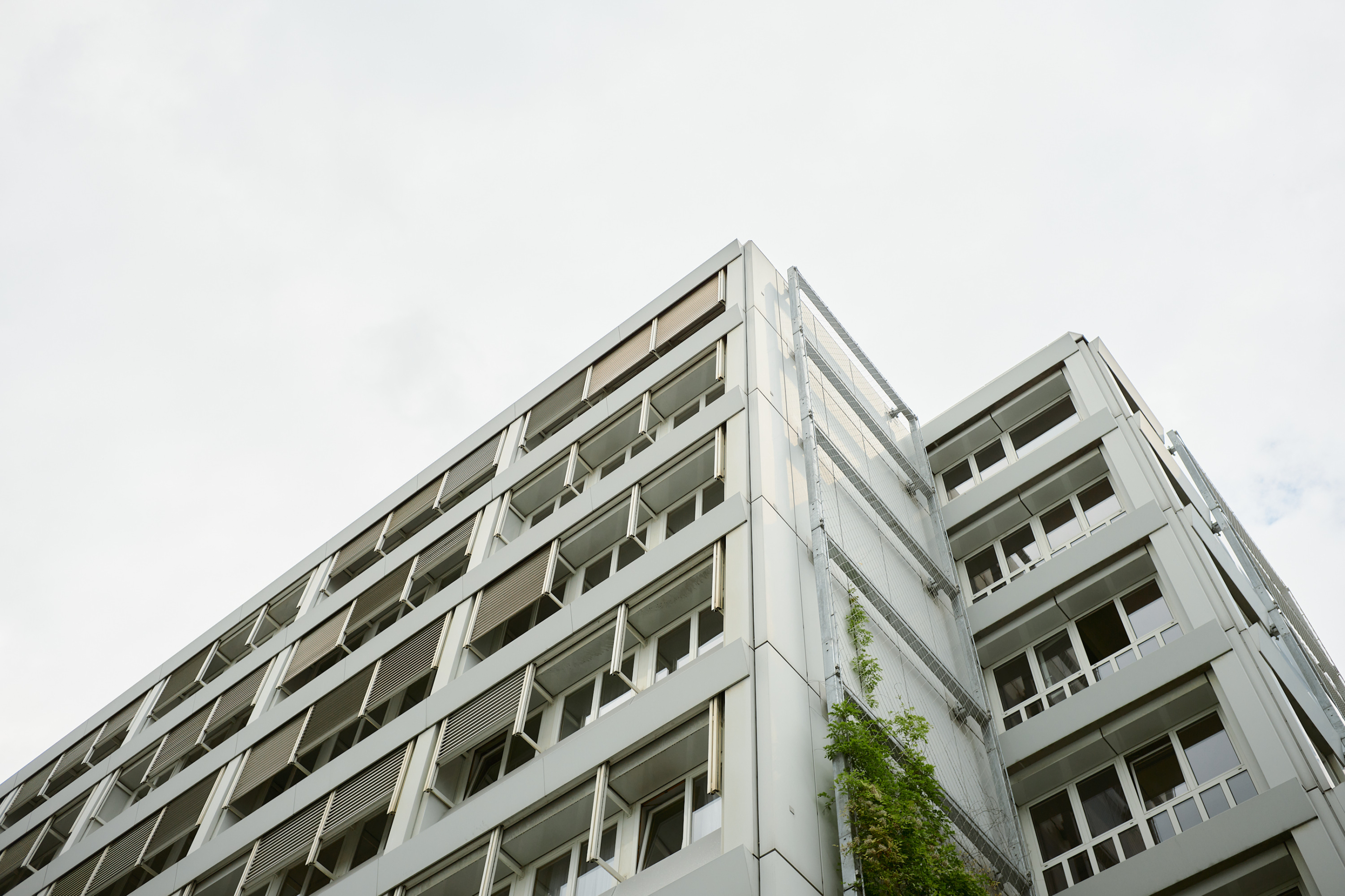 Leica Camera AG LEICA M11 D L1001007