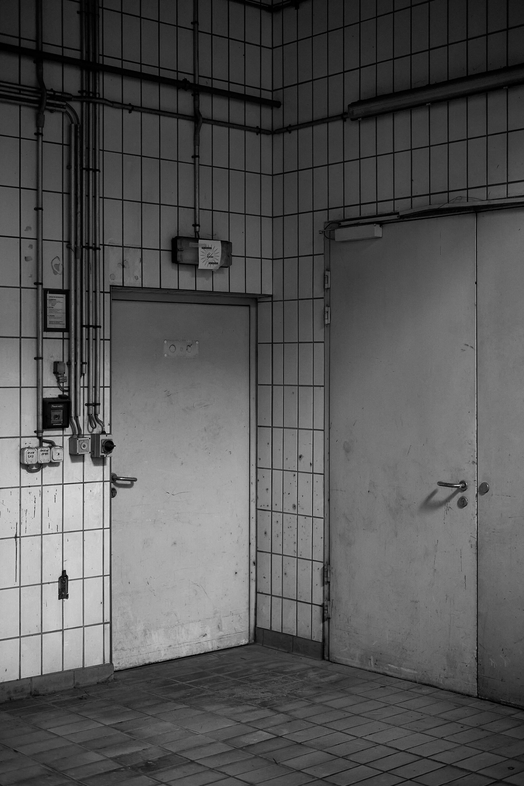 Leica Camera AG LEICA M11 P L1004995