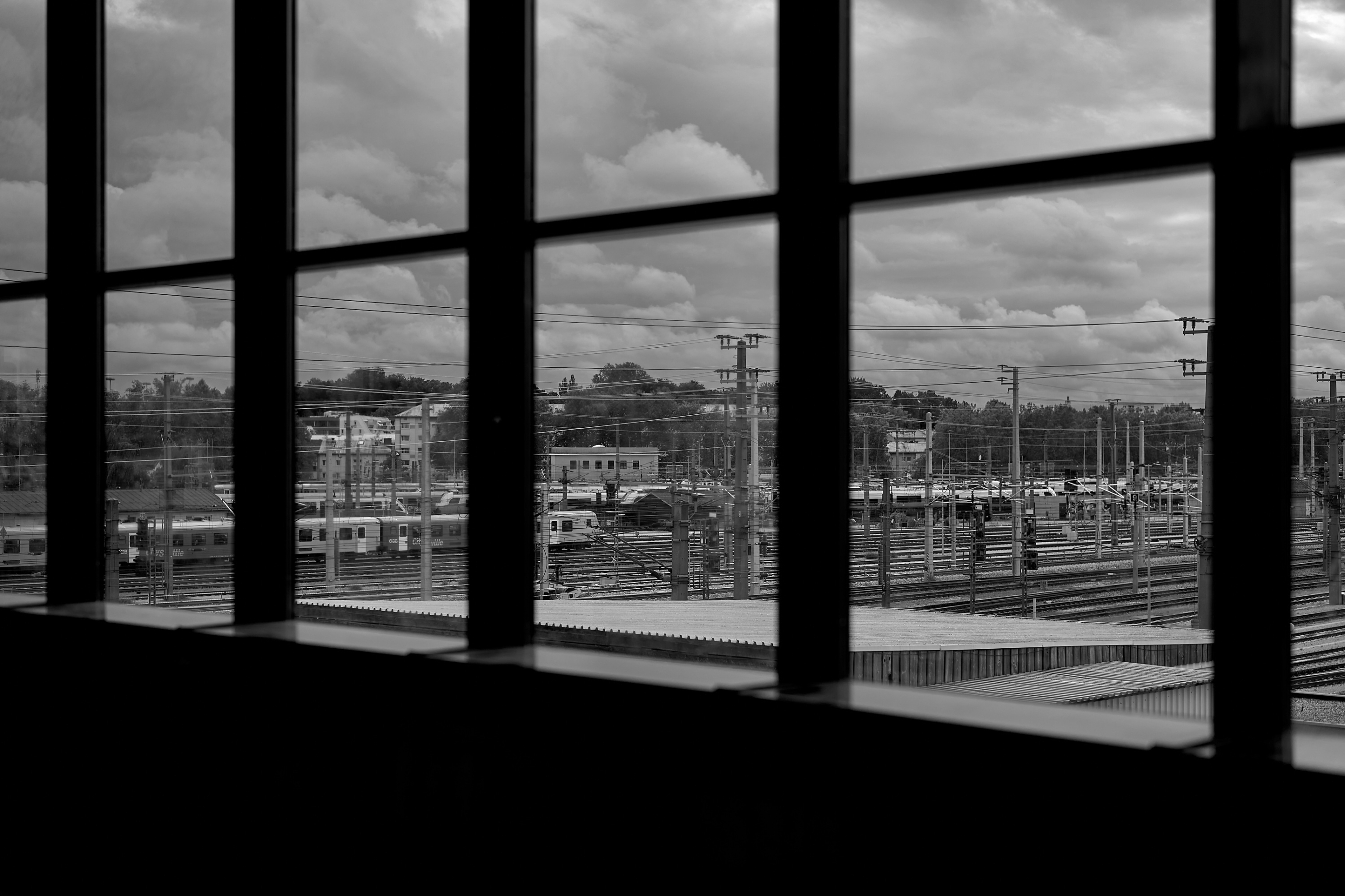 Leica Camera AG LEICA M11 P L1005004