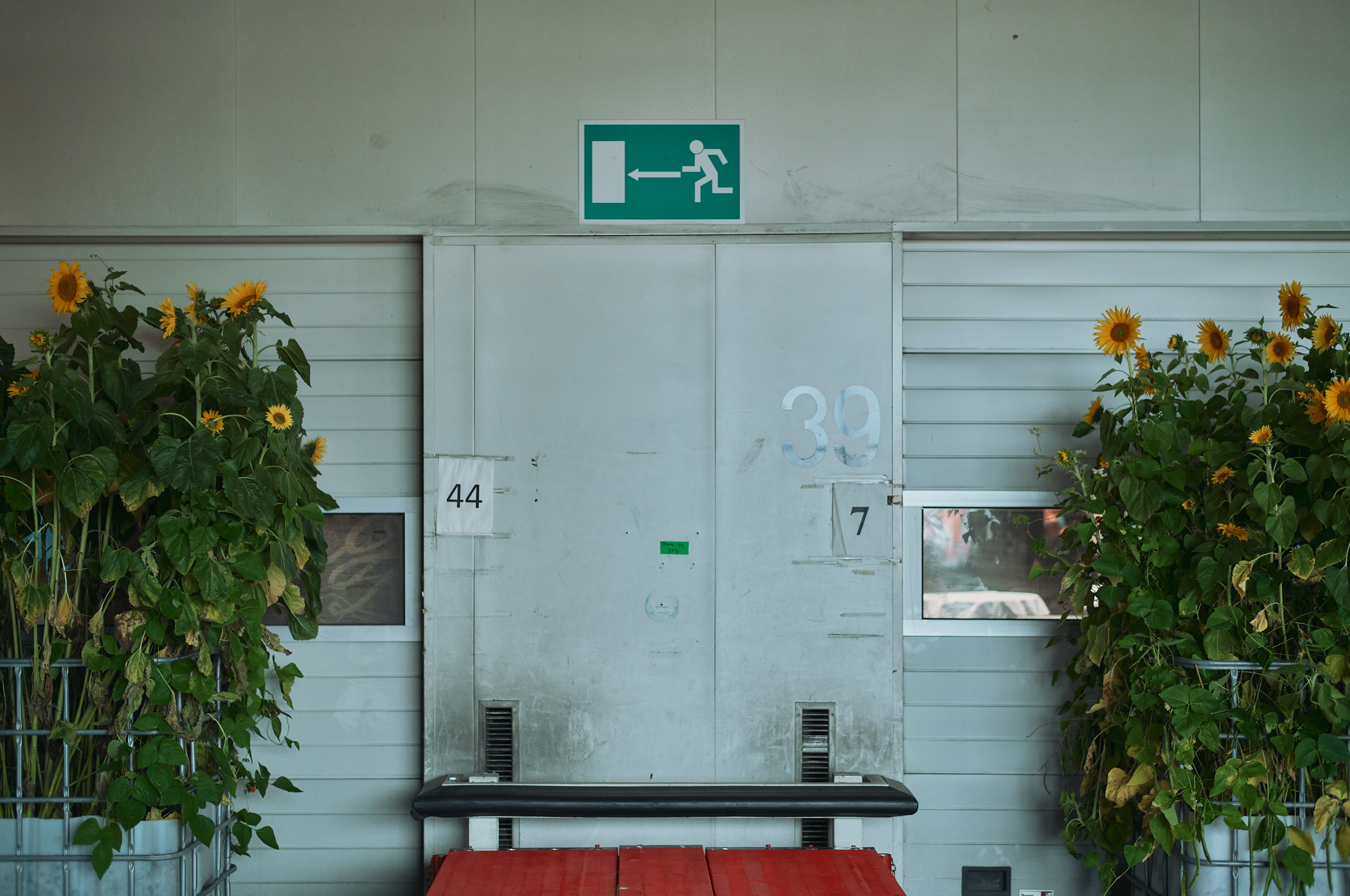 Leica Camera AG LEICA M11 P L1005014