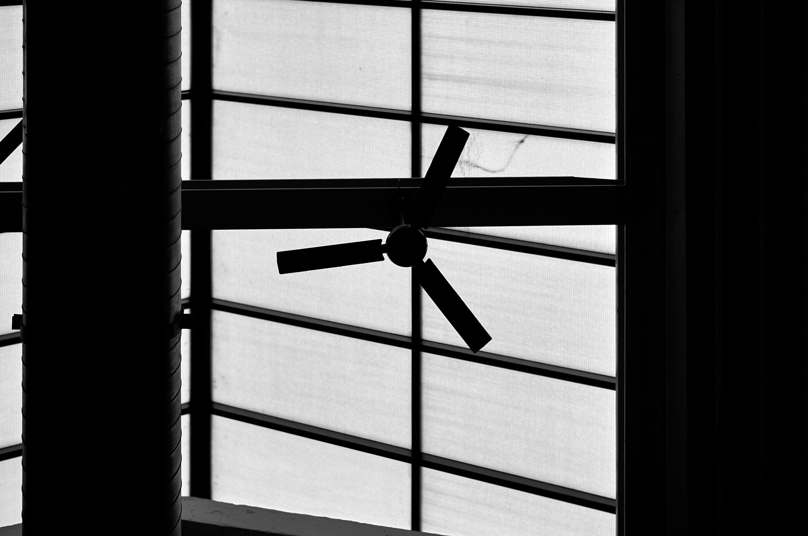 Leica Camera AG LEICA M11 P L1005022