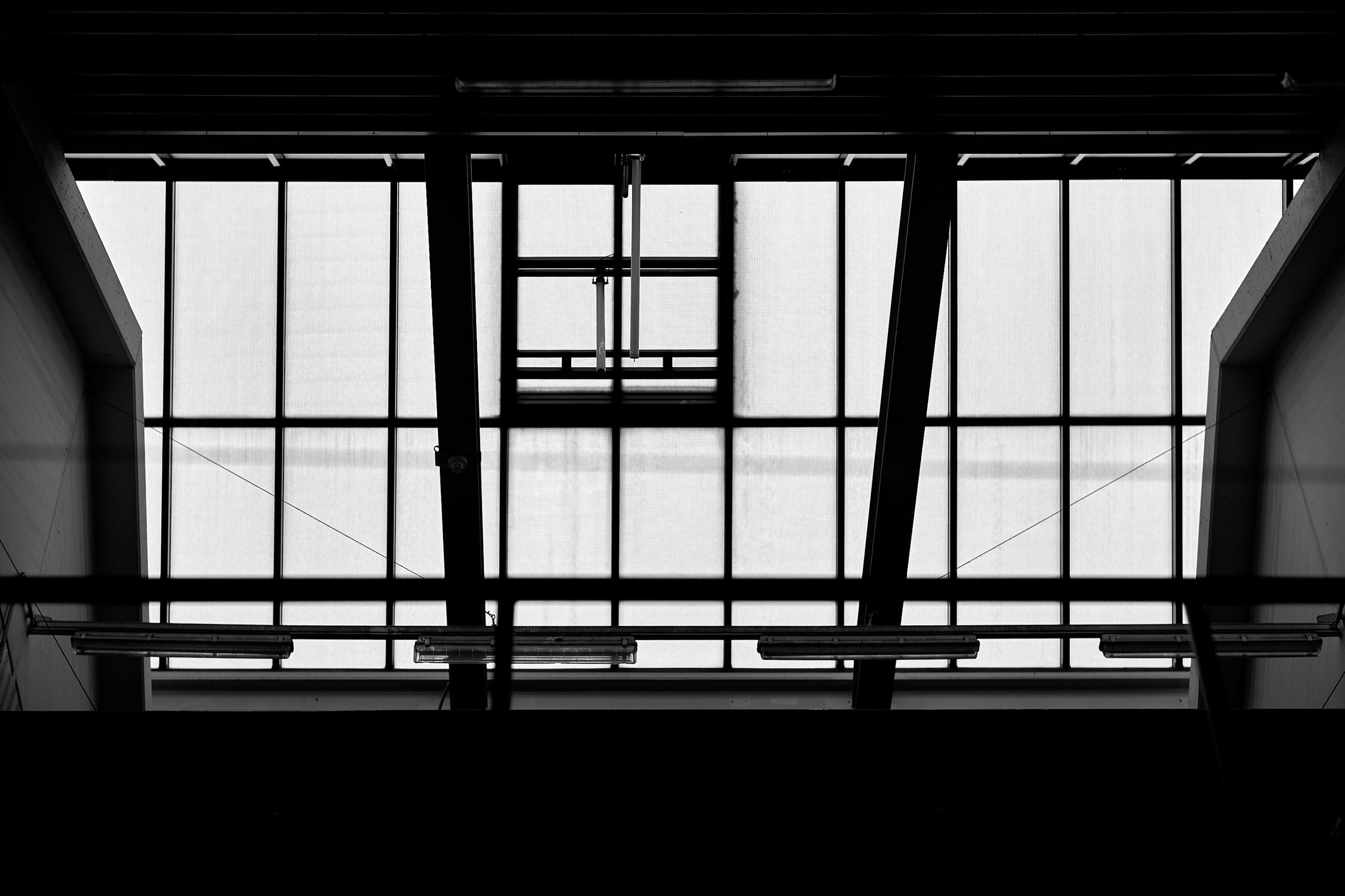 Leica Camera AG LEICA M11 P L1005035