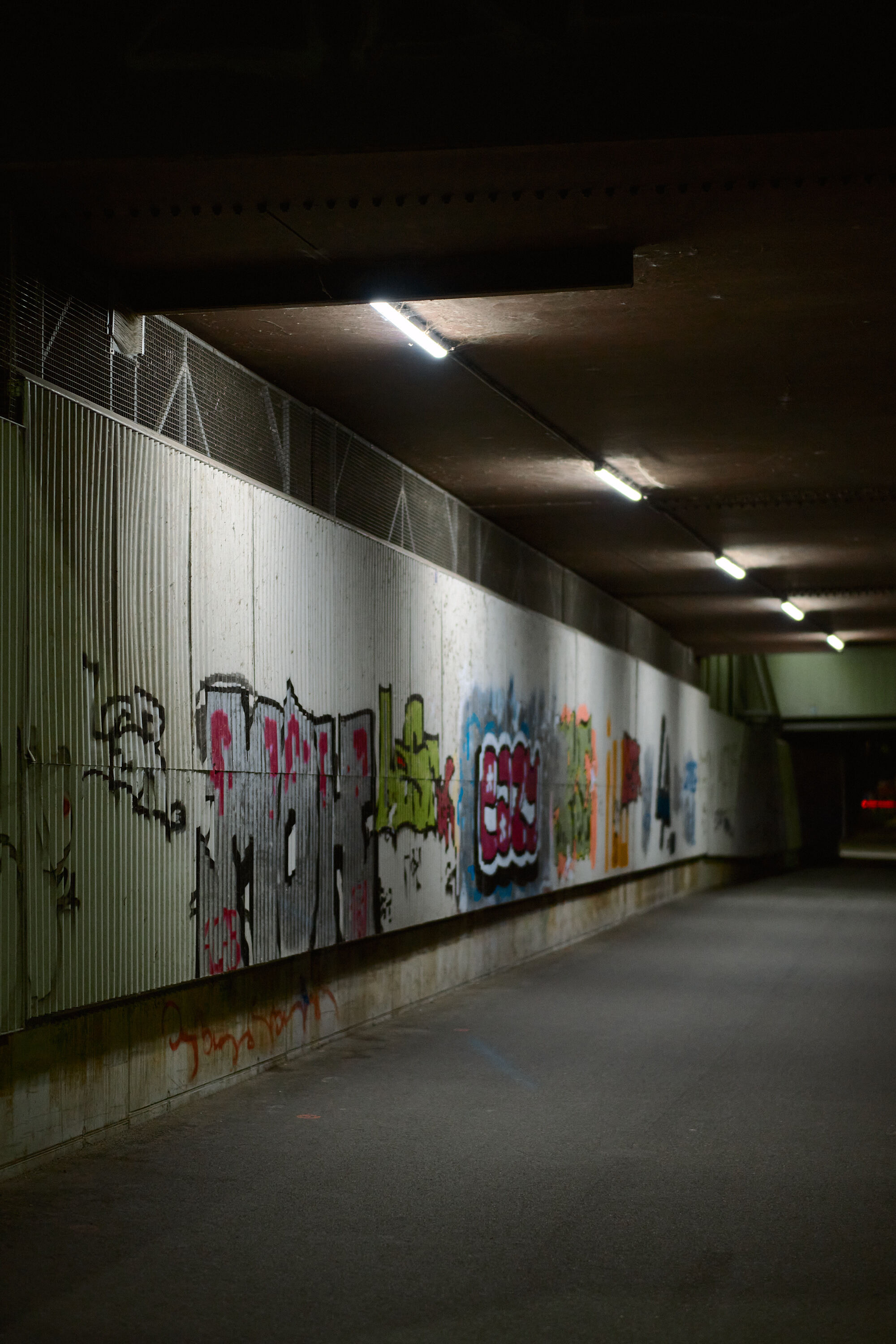 Leica Camera AG LEICA M11 D L1001060