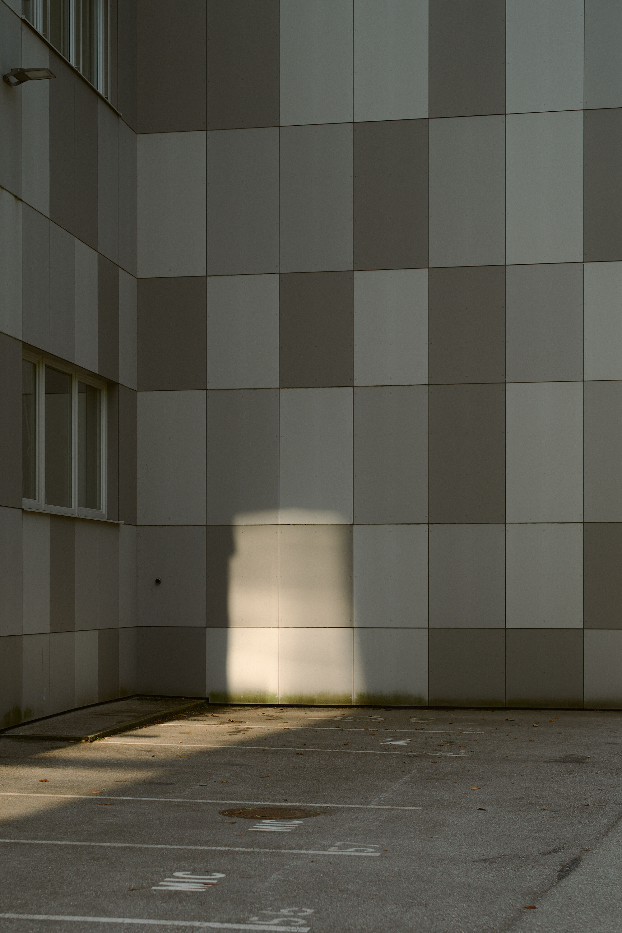 Leica Camera AG LEICA M11 P L1005048