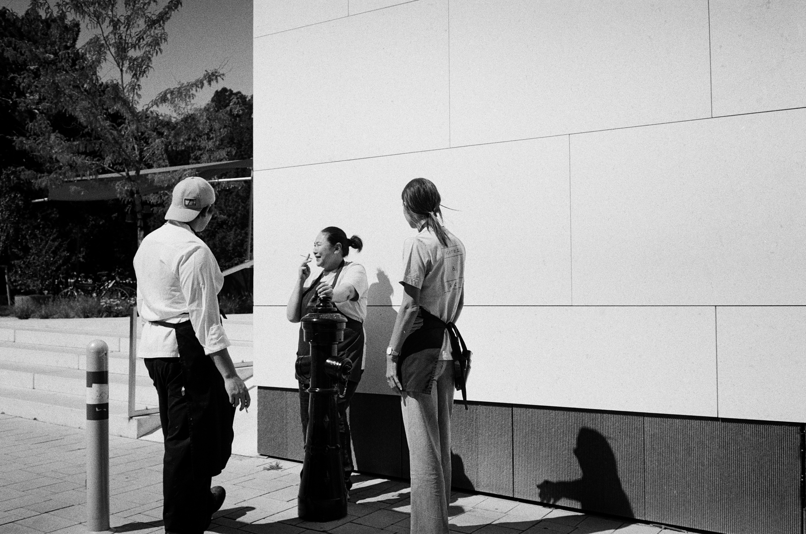 Adobe Systems Inc Tiff File Leica MP 000038910005