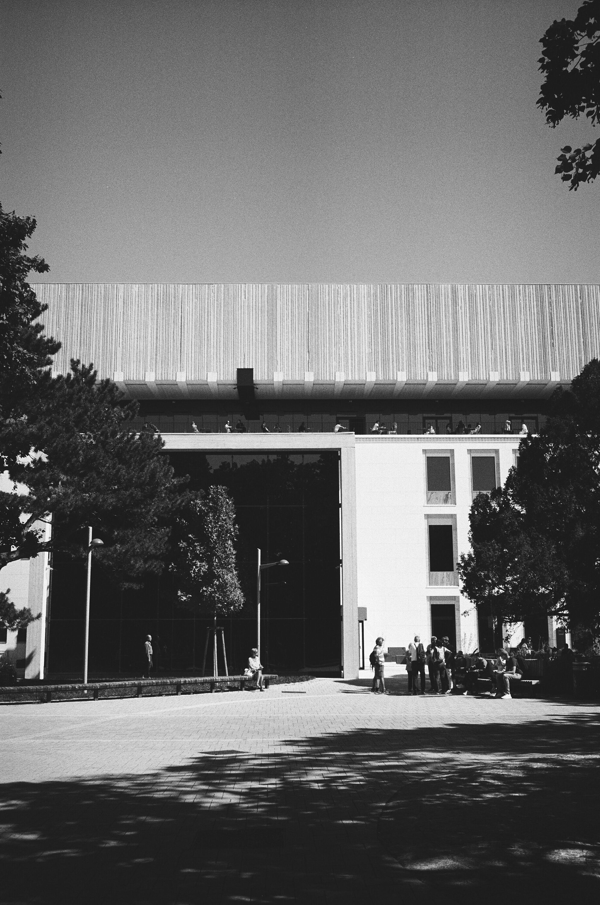 Adobe Systems Inc Tiff File Leica MP 000038910007