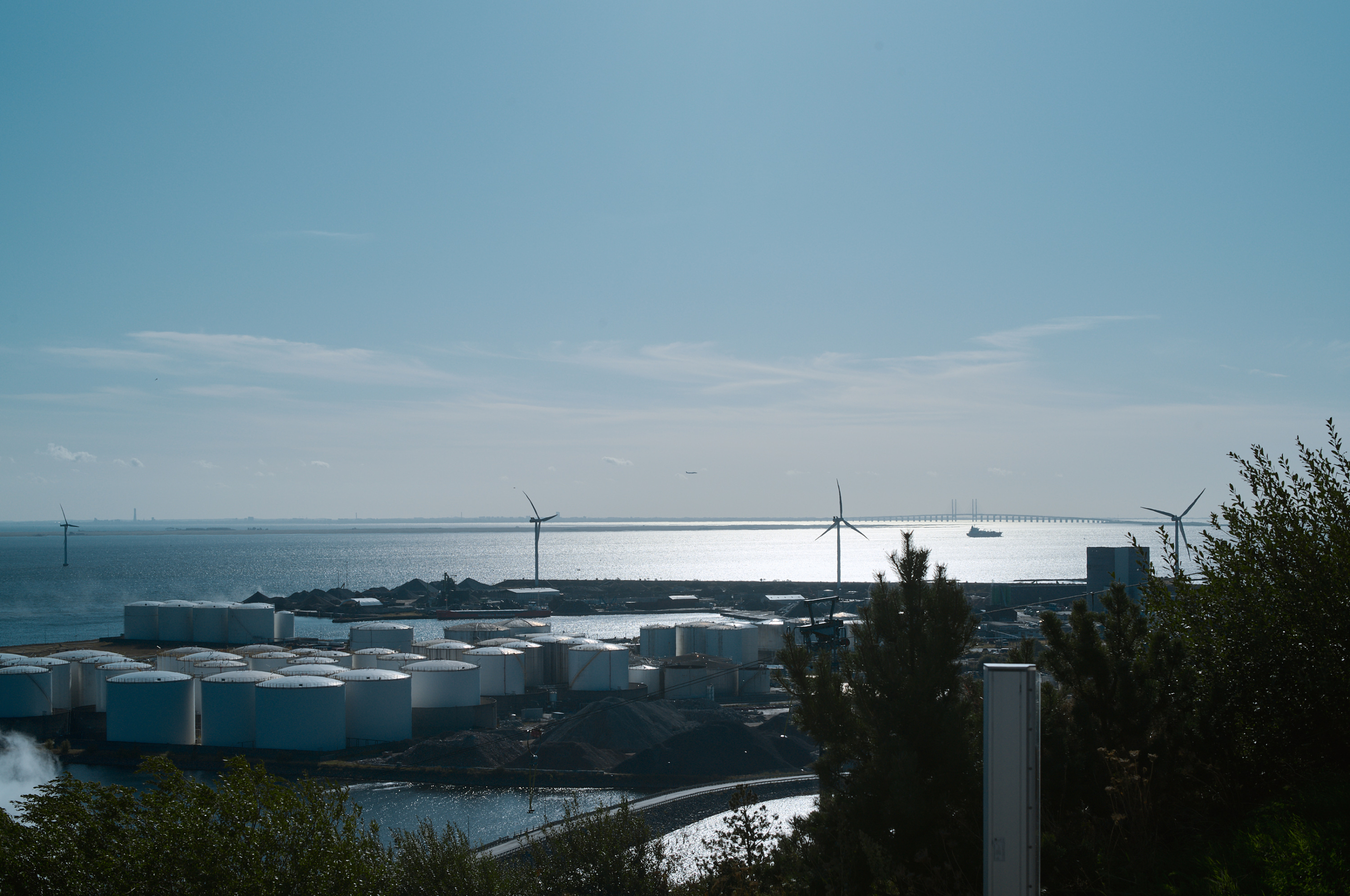 Leica Camera AG LEICA M11 D L1001141