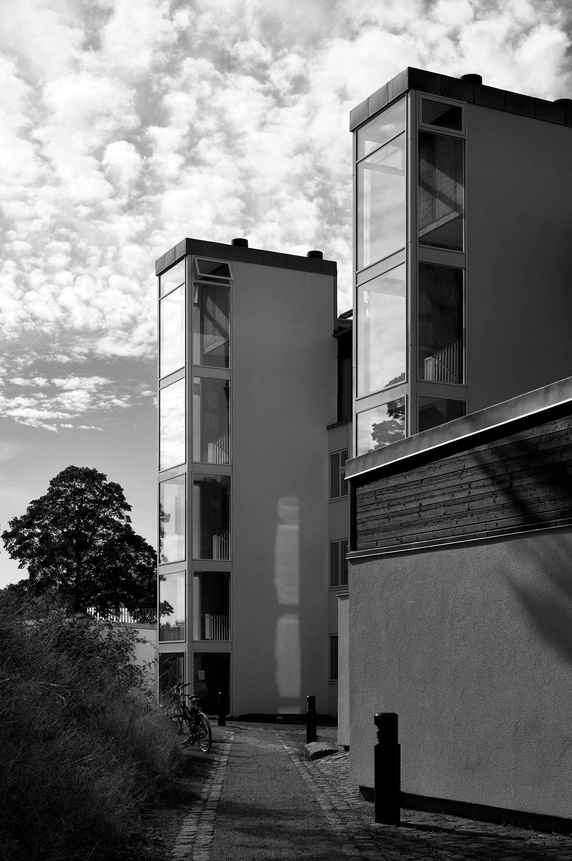 Leica Camera AG LEICA M11 D L1001216