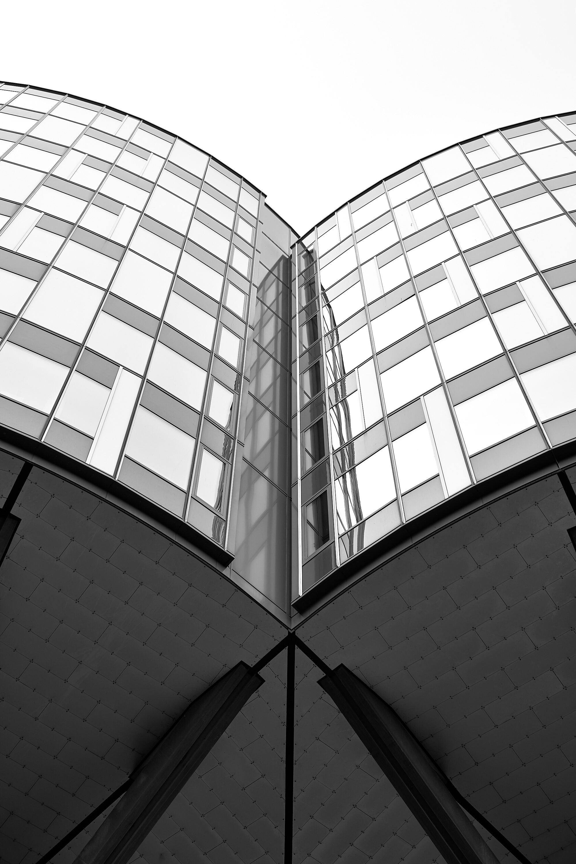 Leica Camera AG LEICA M11 D L1001283