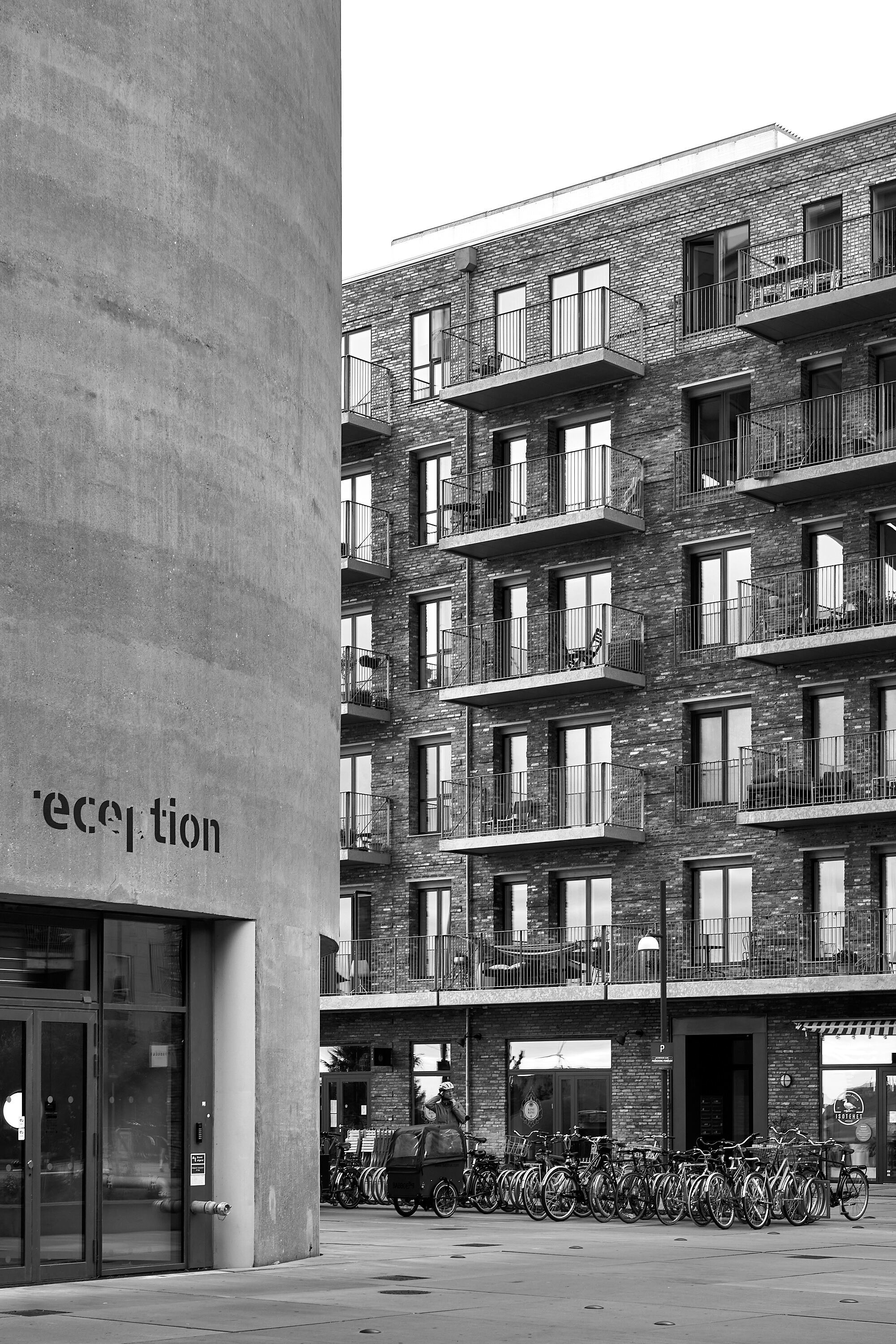 Leica Camera AG LEICA M11 D L1001284