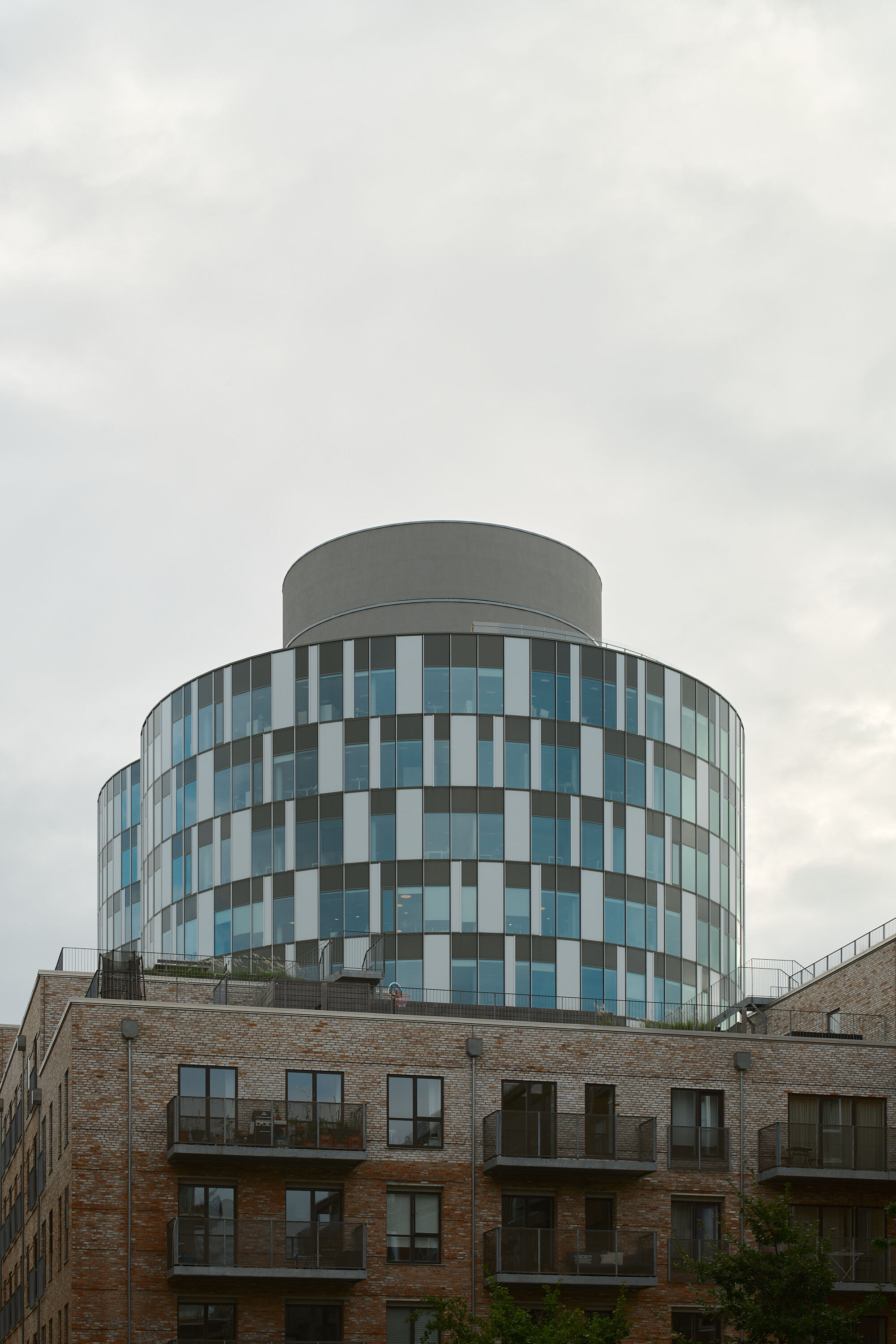 Leica Camera AG LEICA M11 D L1001306