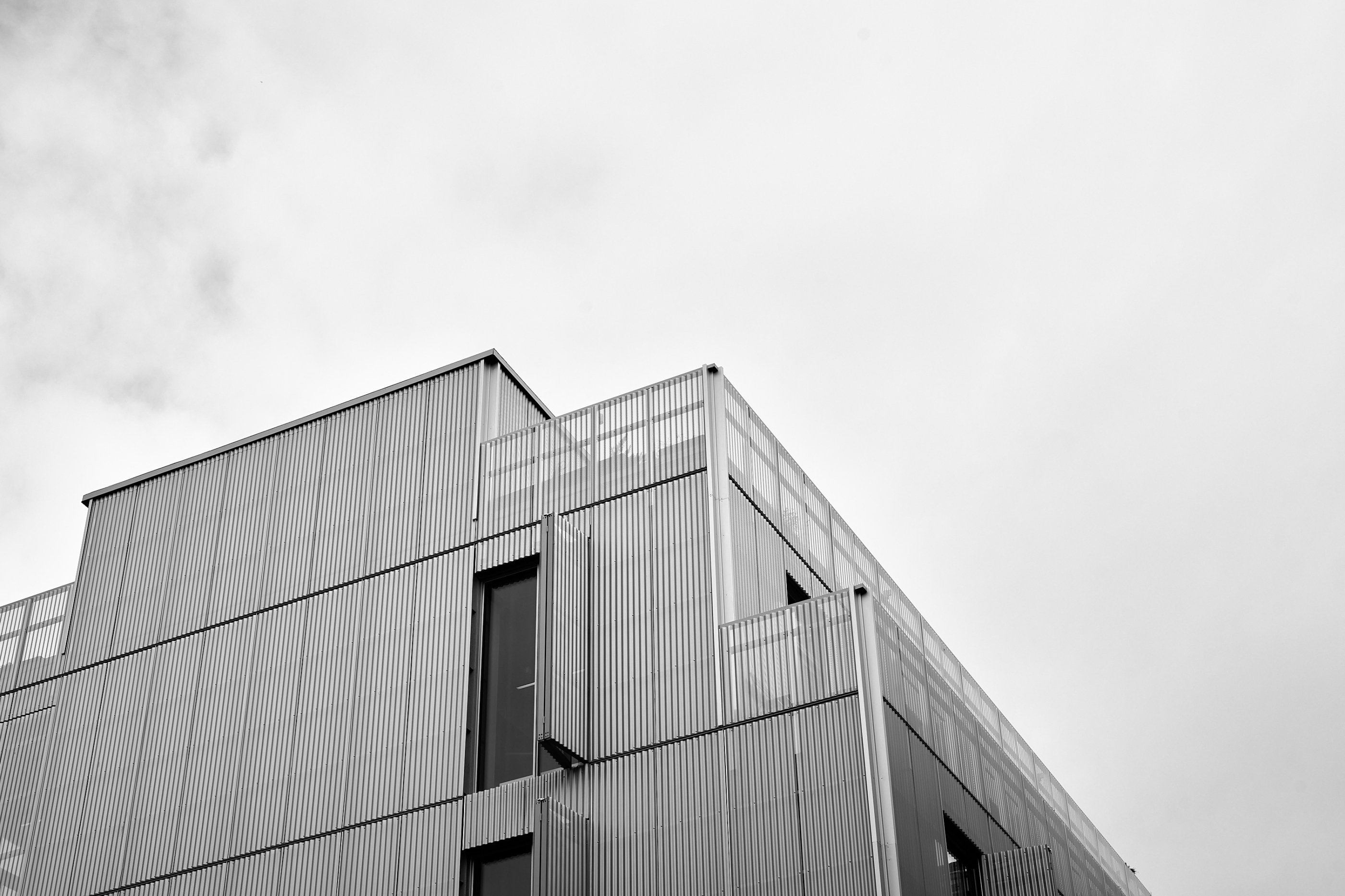 Leica Camera AG LEICA M11 D L1001307