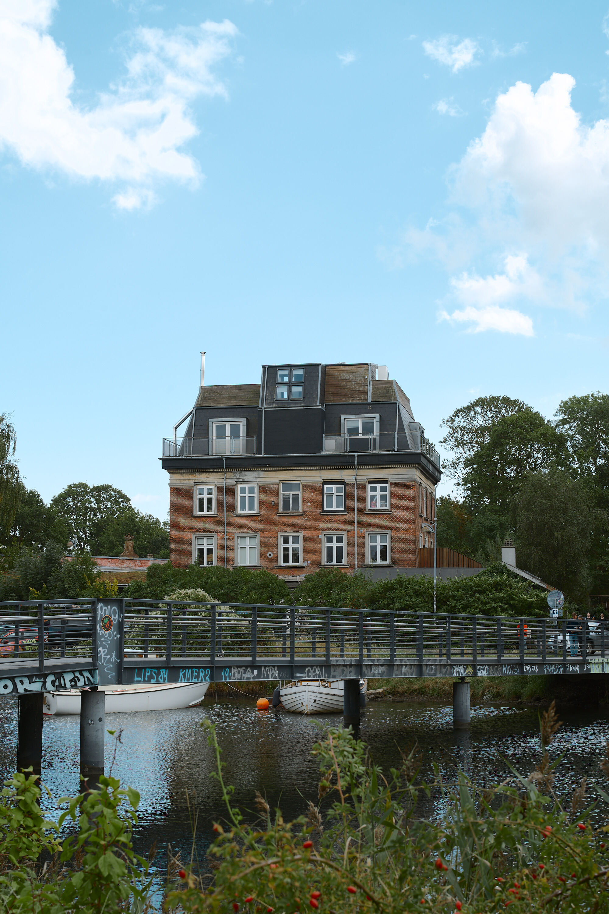 Leica Camera AG LEICA M11 D L1001322