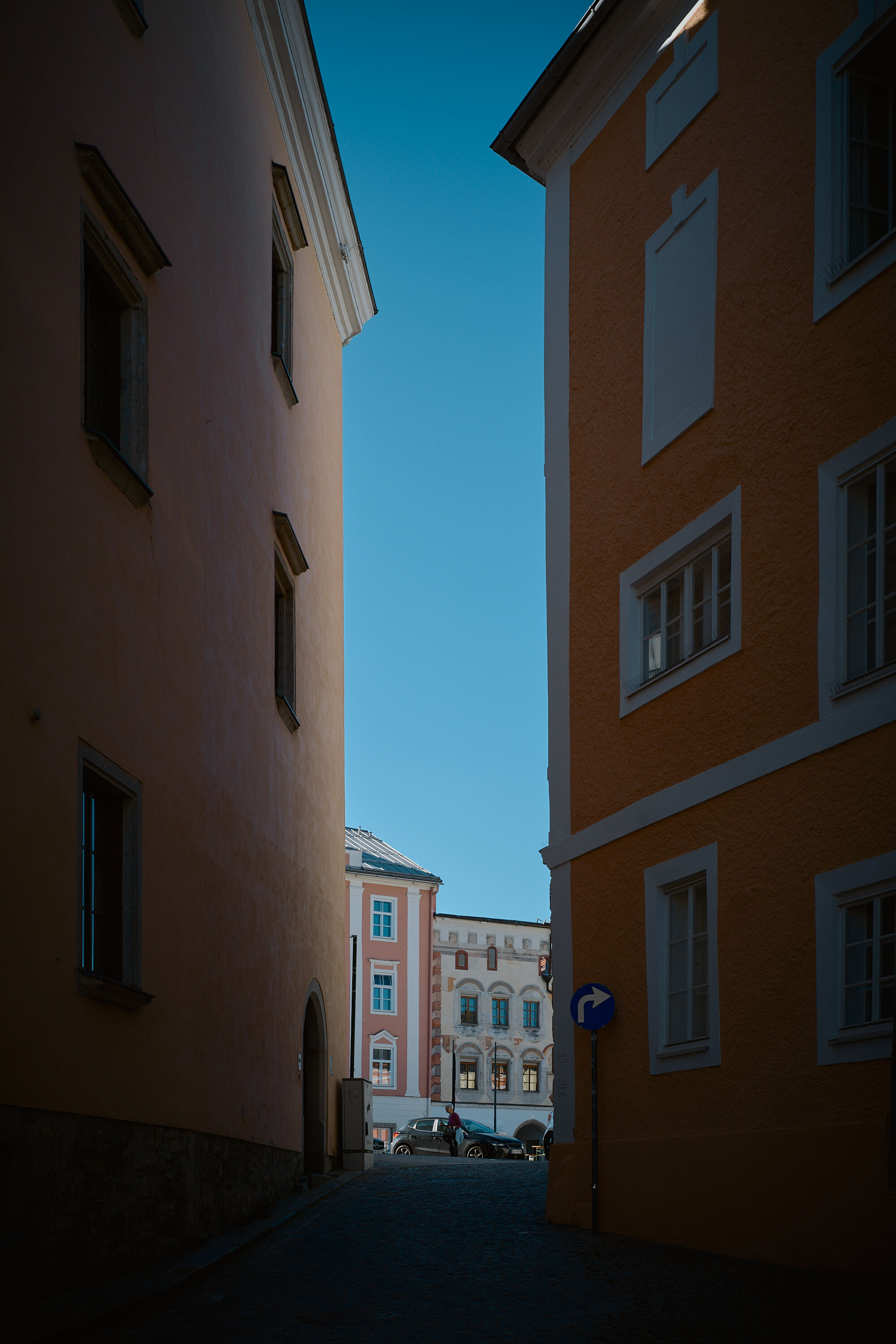 Leica Camera AG LEICA M11 D L1001347