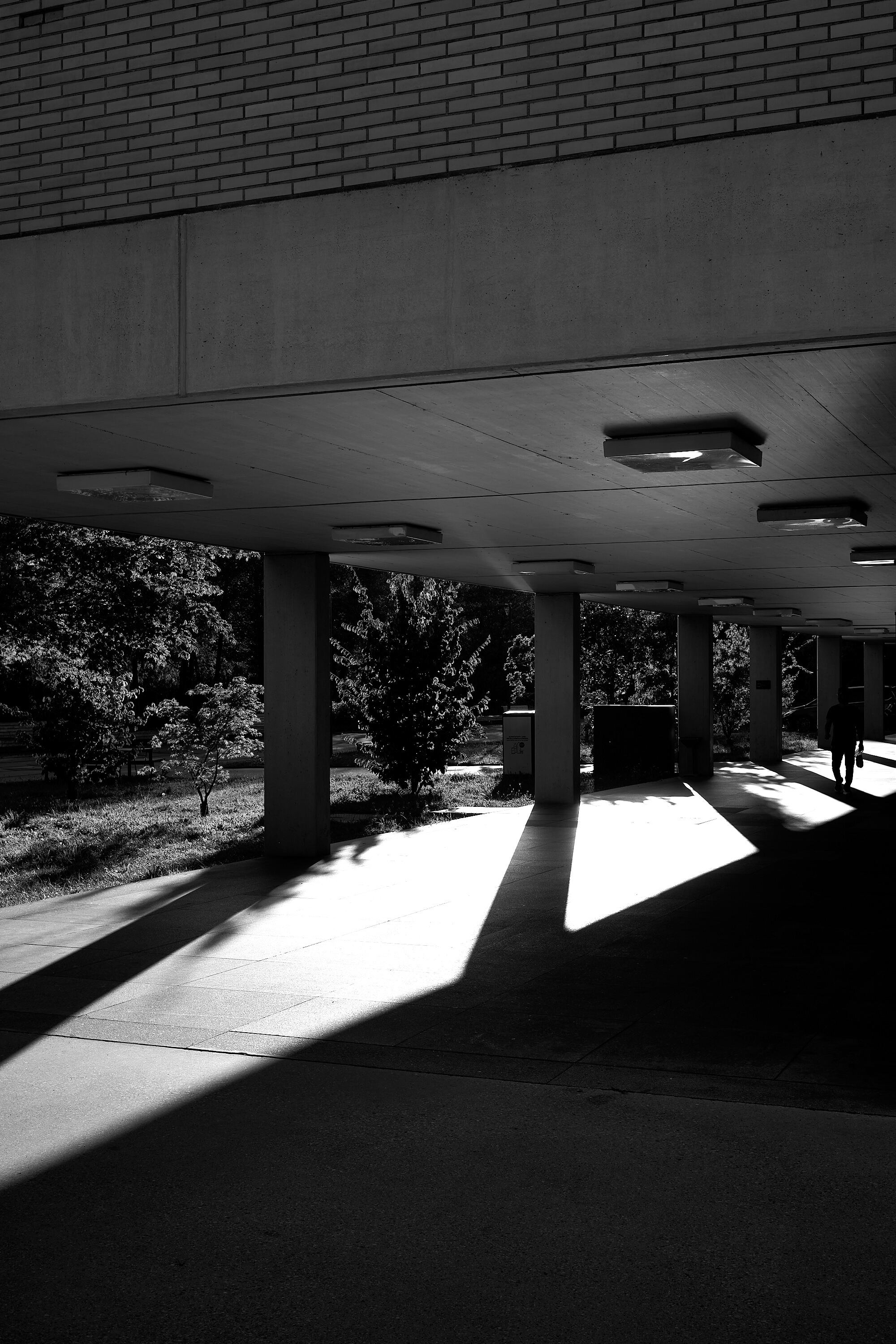 Leica Camera AG LEICA M11 D L1001368