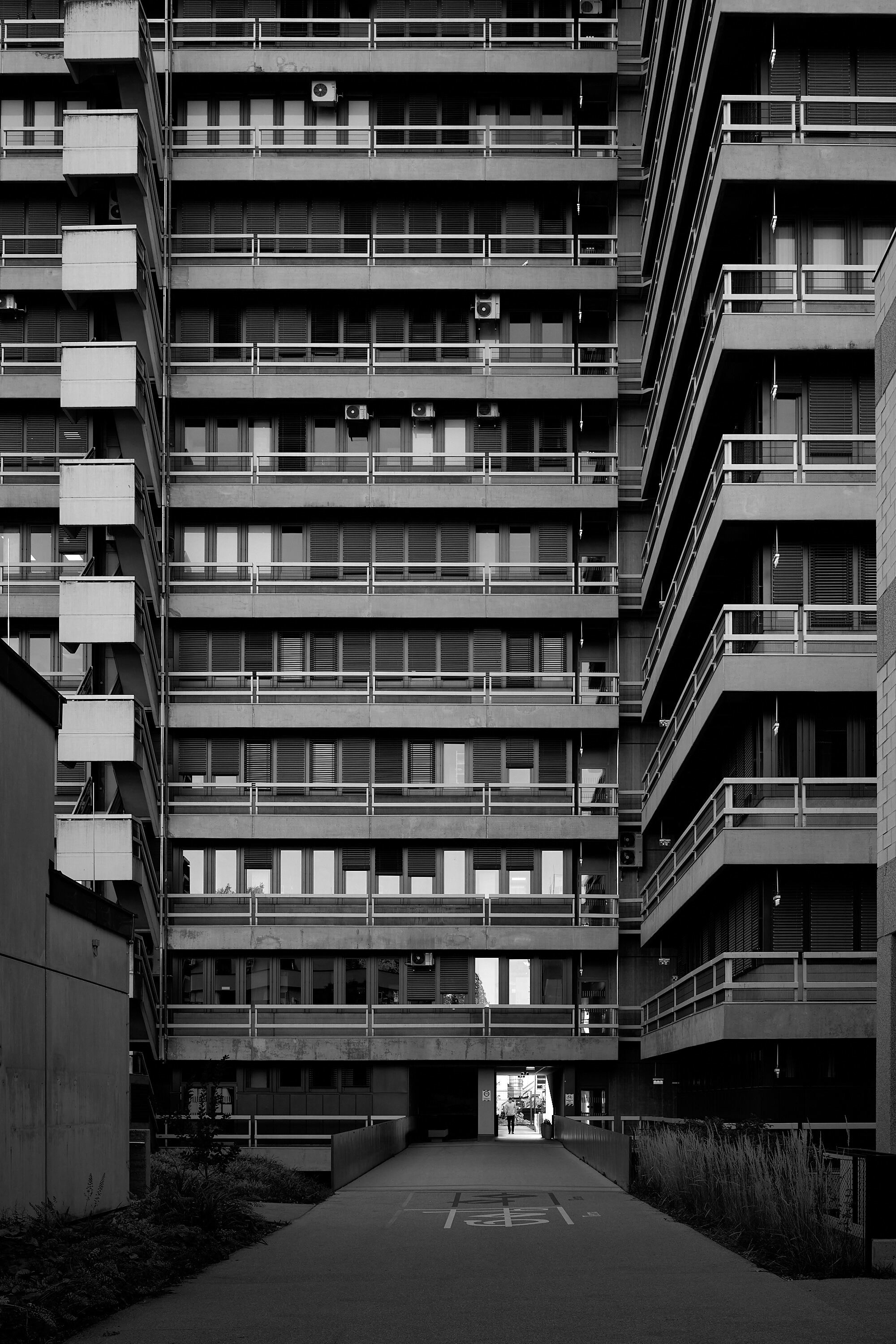 Leica Camera AG LEICA M11 D L1001372