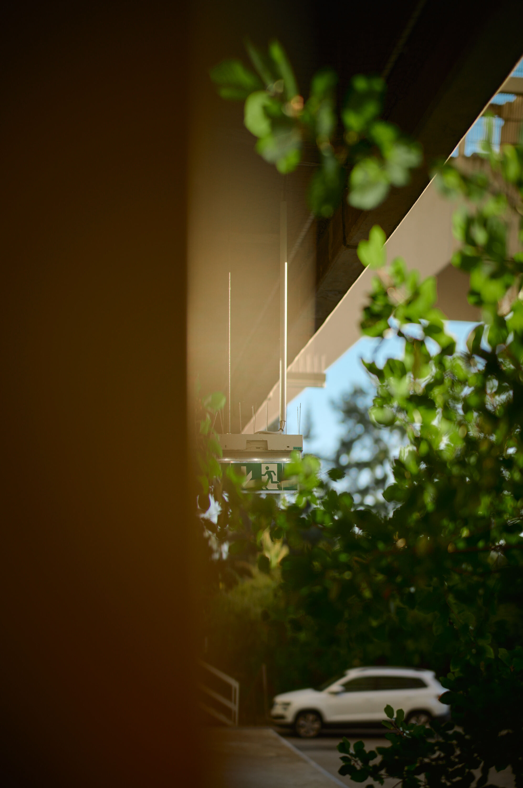 Leica Camera AG LEICA M11 P L1005211