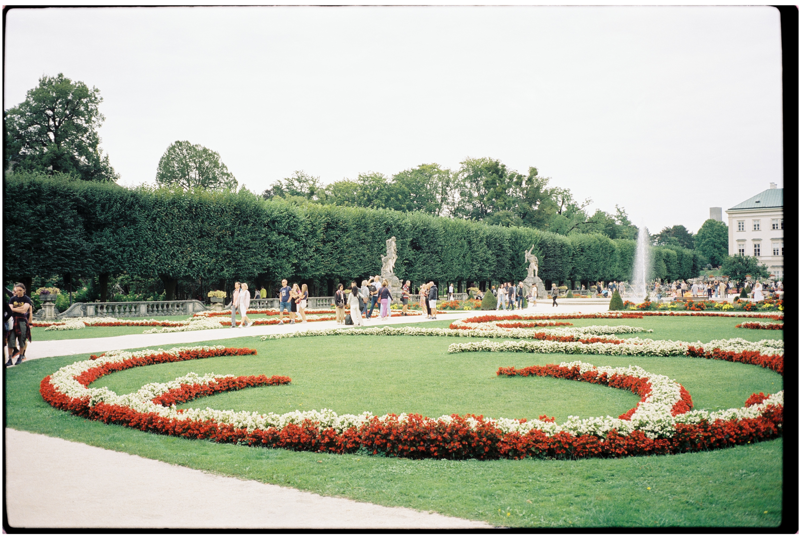 Leica MP 000056