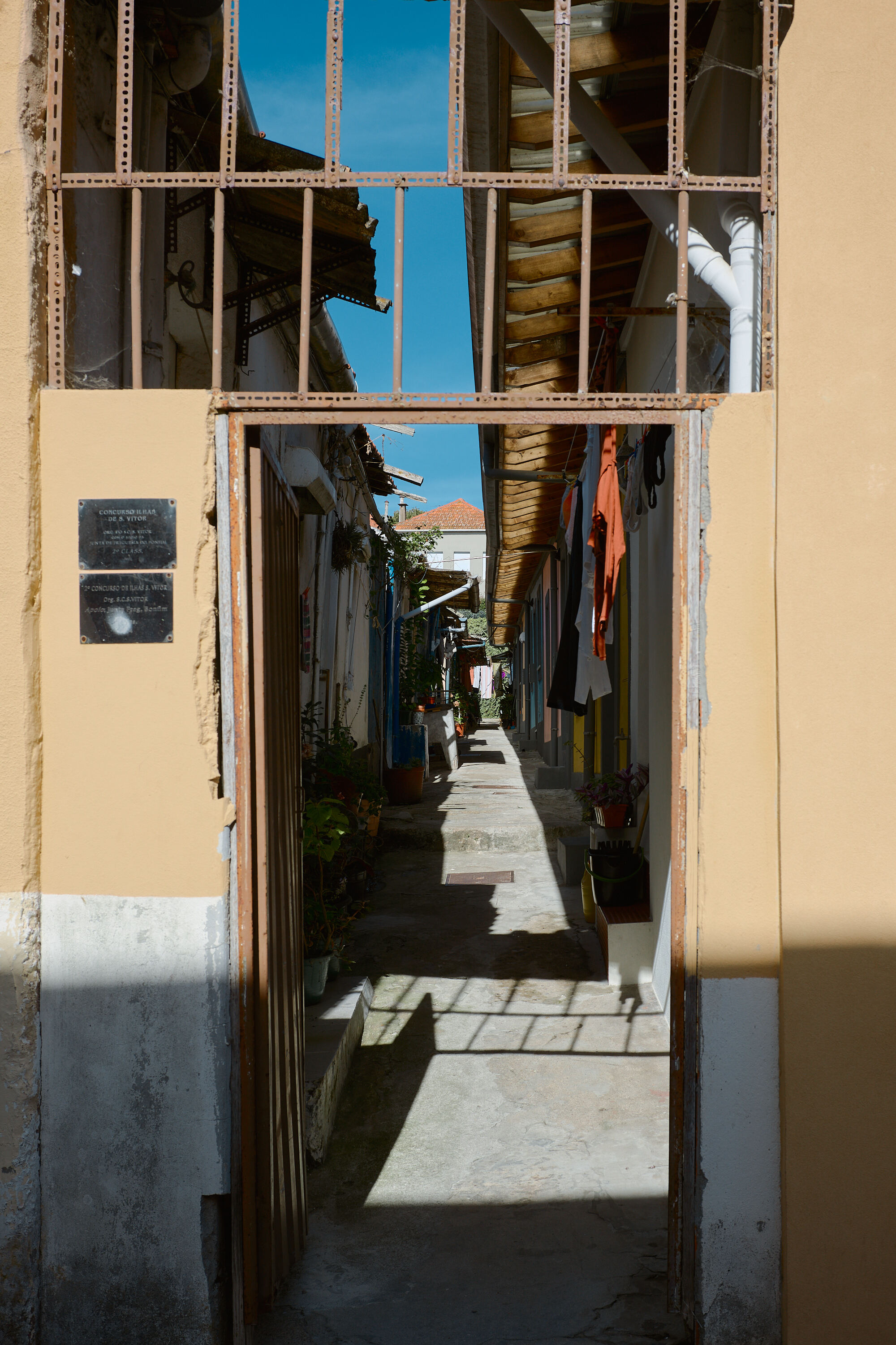 LEICA M11 D L1001749