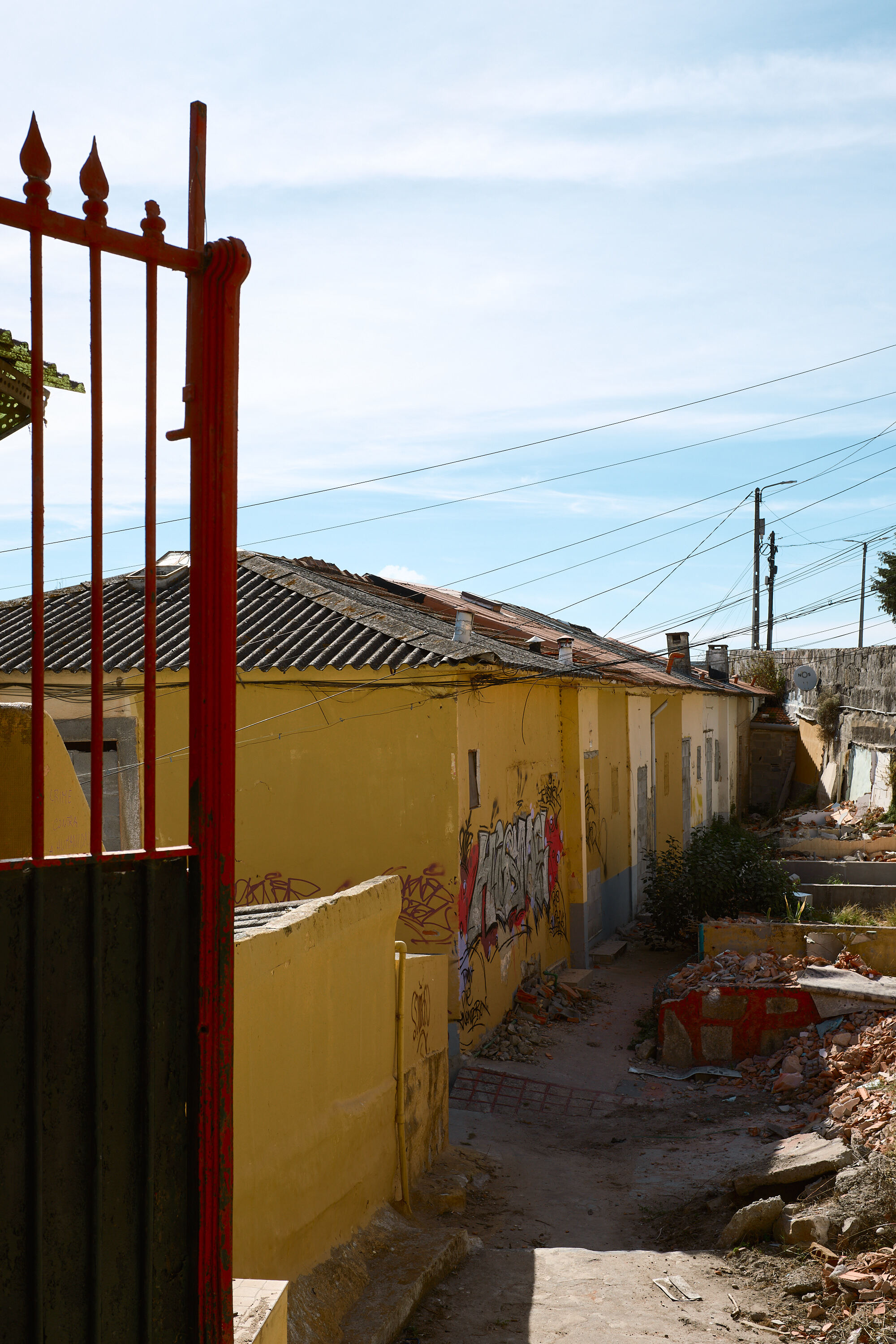 LEICA M11 D L1001773