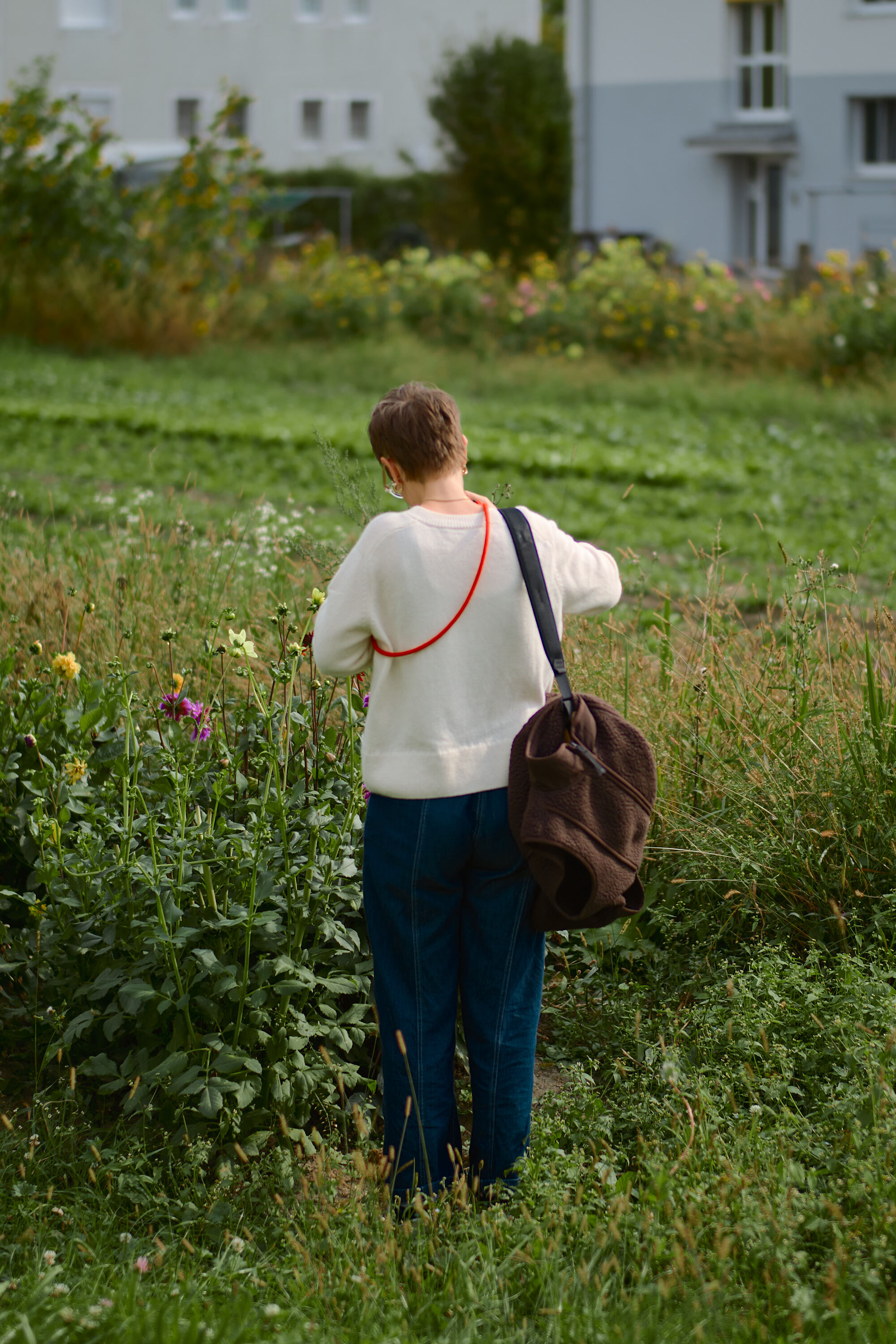 LEICA M11 P L1005255