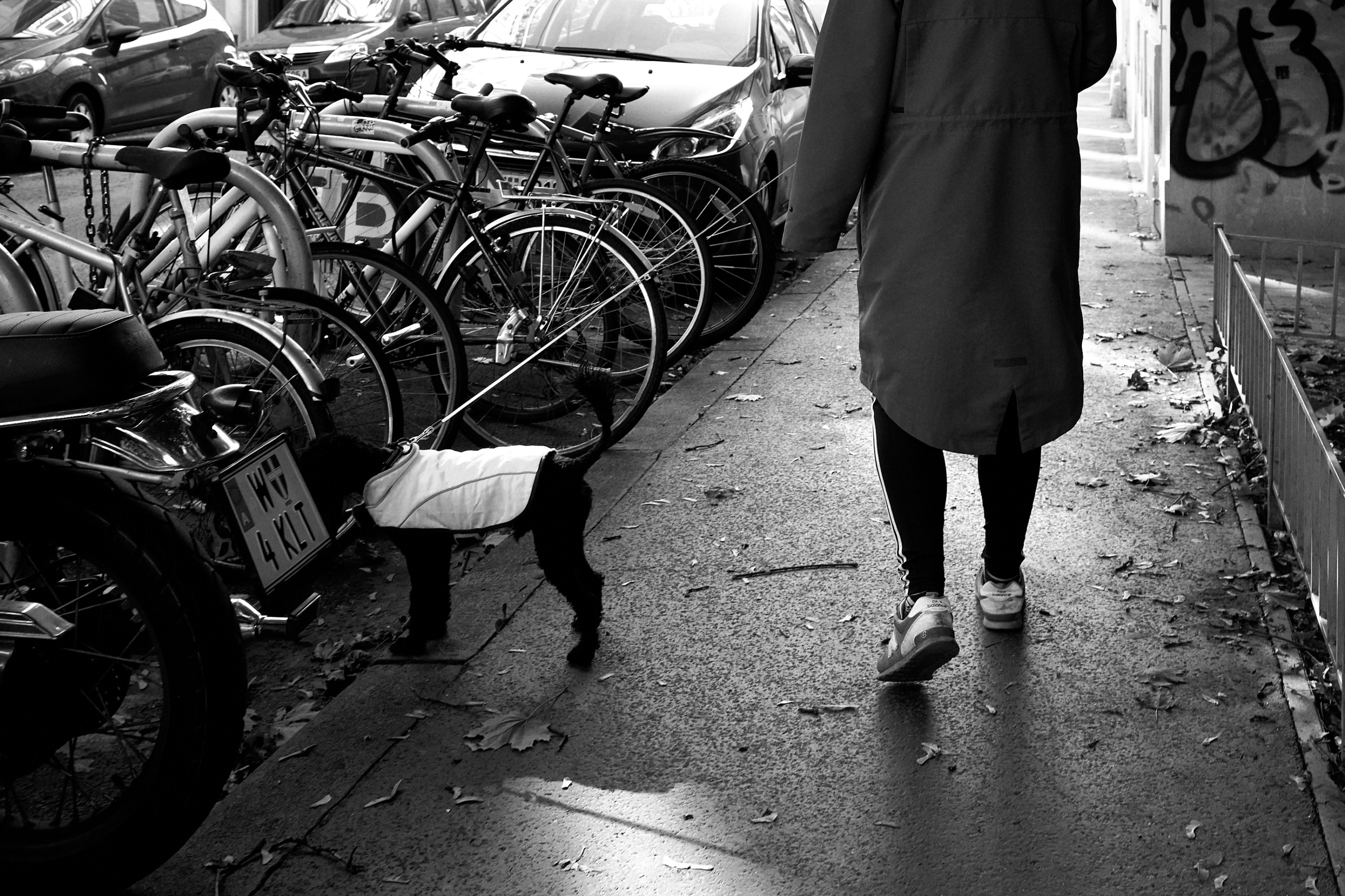 LEICA M11 D L1001903