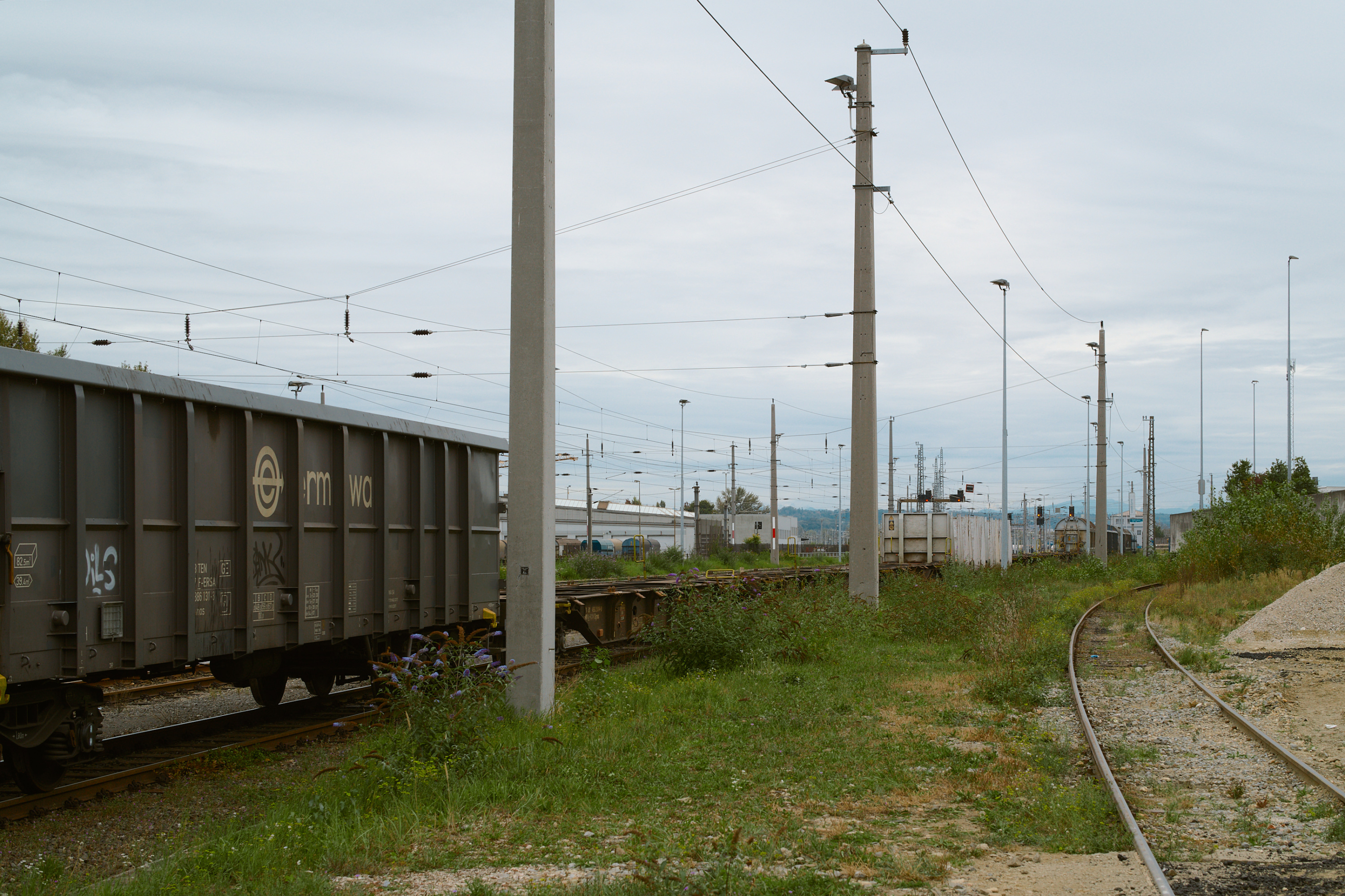LEICA M11 P L1005290