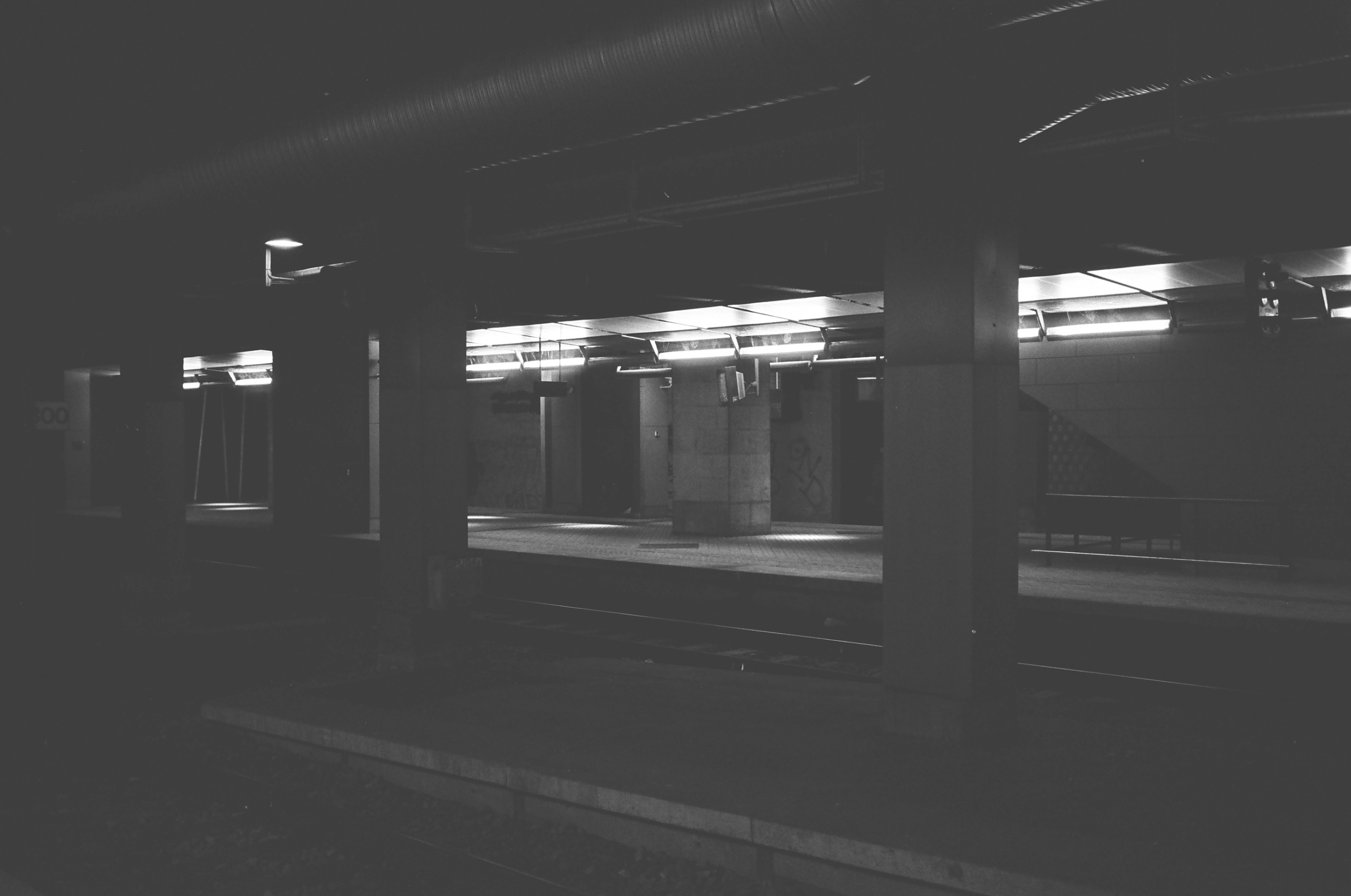 Tiff File Leica MP 000058550020