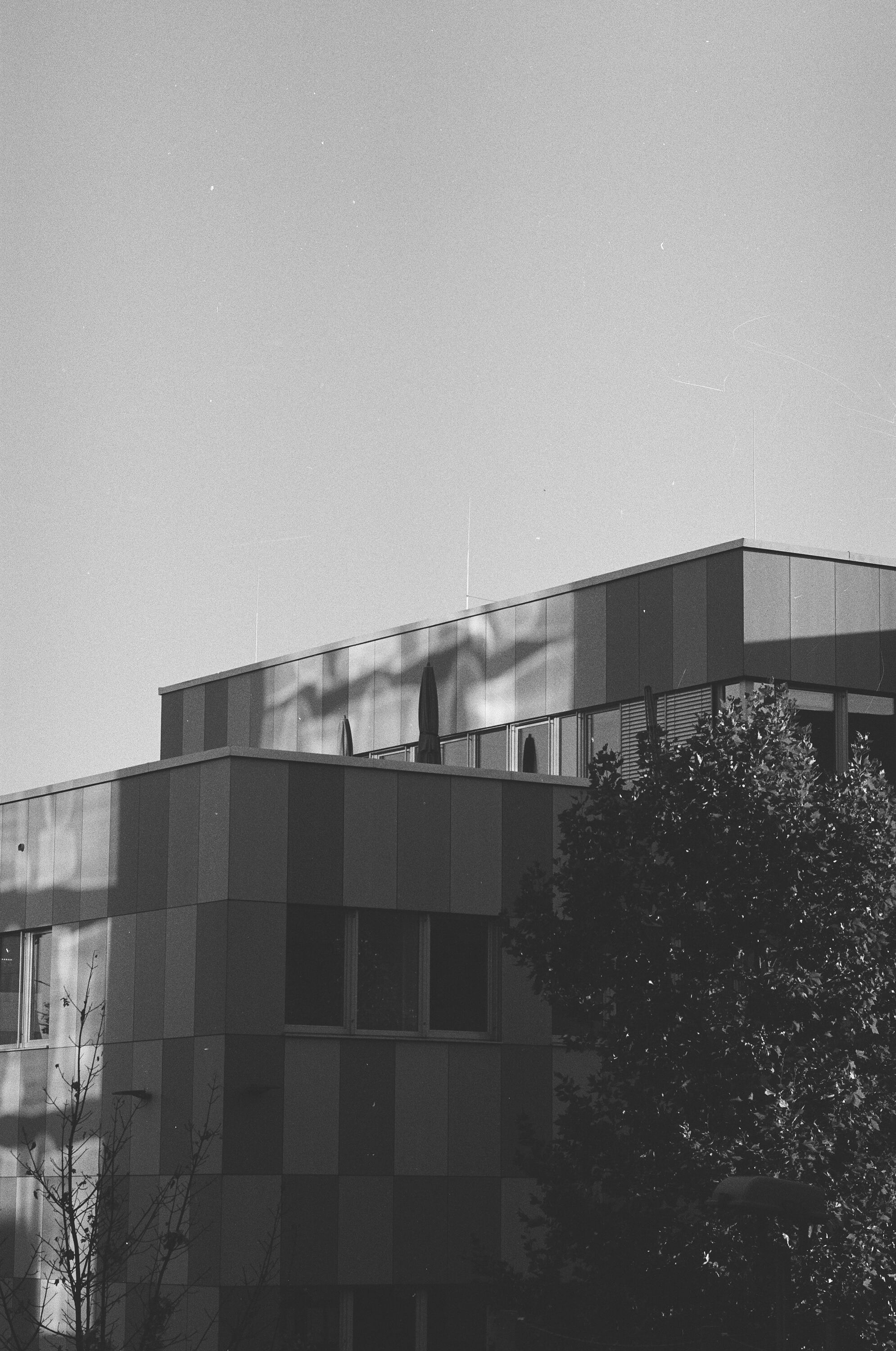 Tiff File Leica MP 000058550032