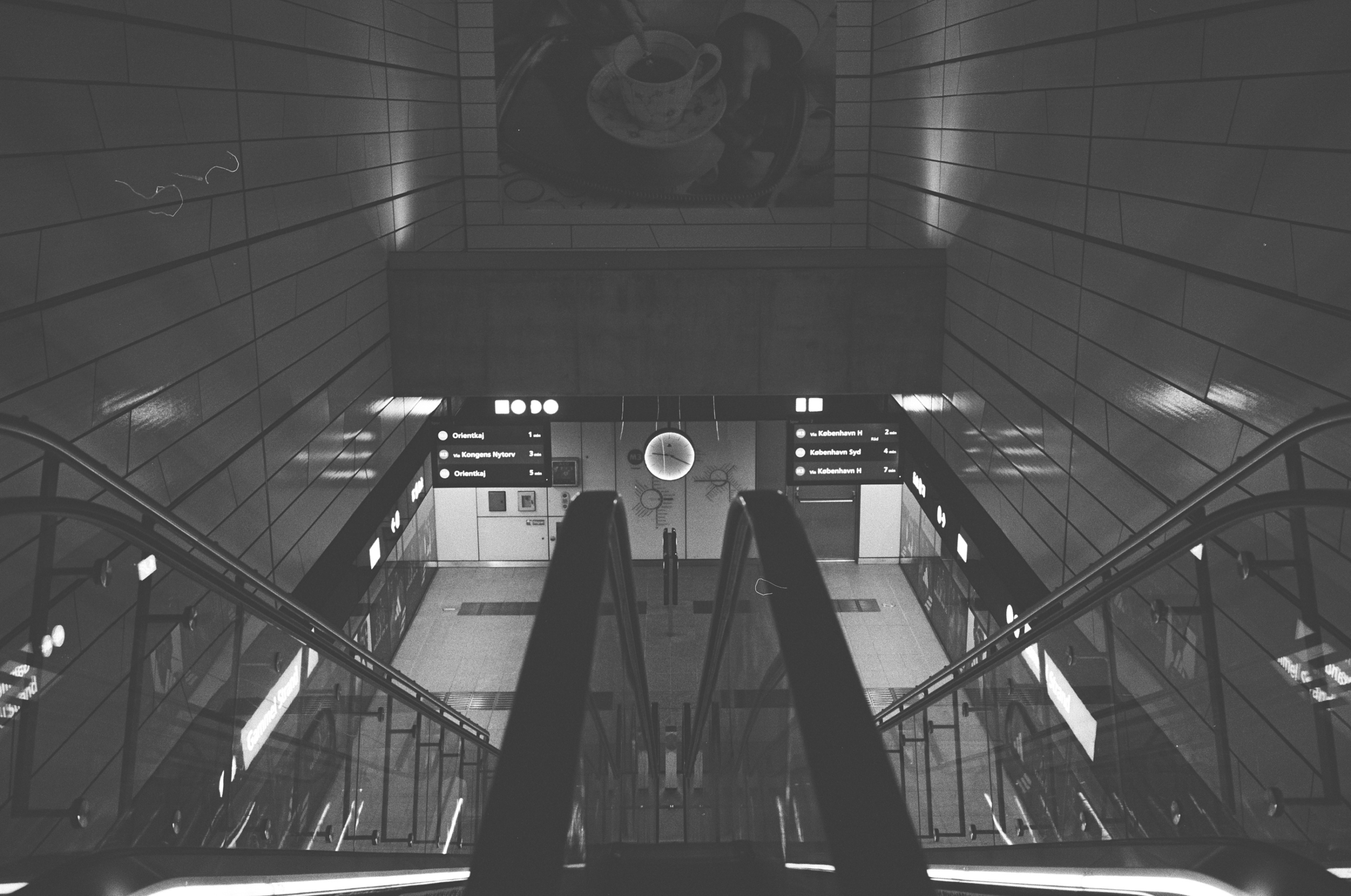 Tiff File Leica MP 000058560011