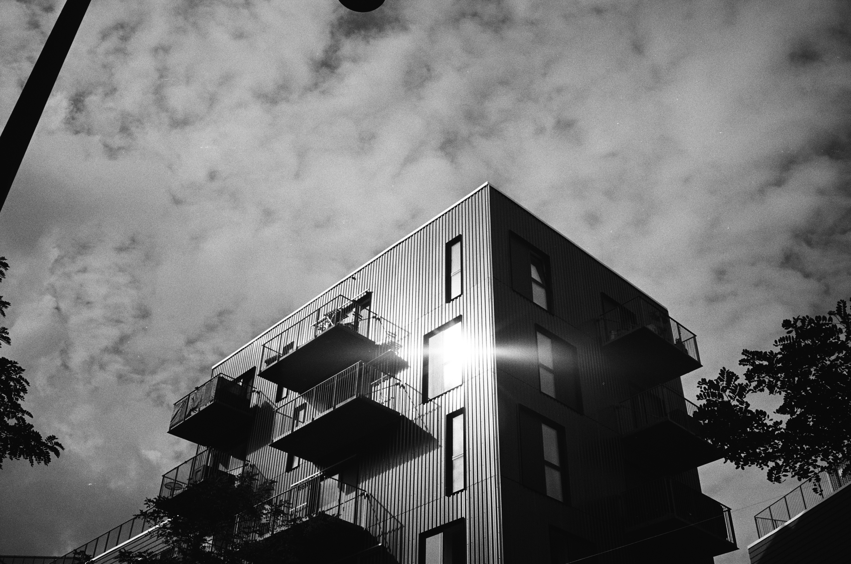 Tiff File Leica MP 000058560036