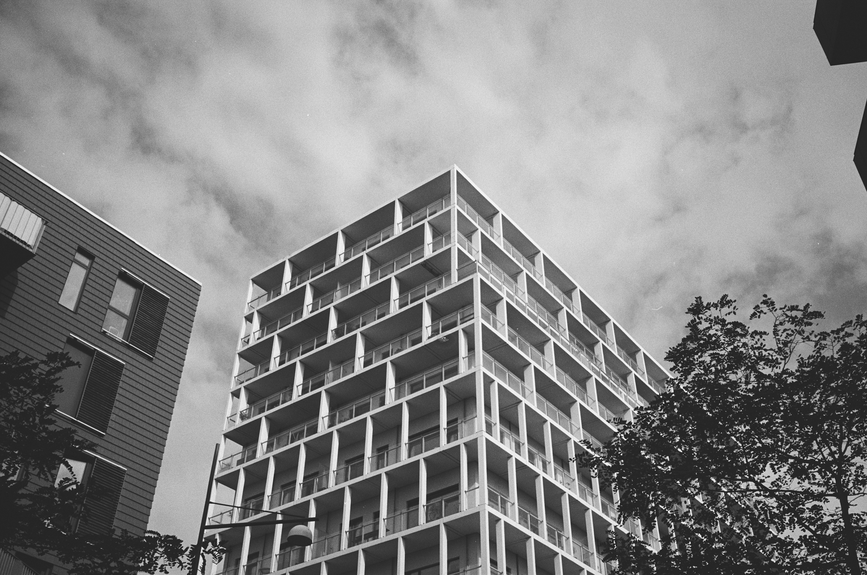Tiff File Leica MP 000058560037