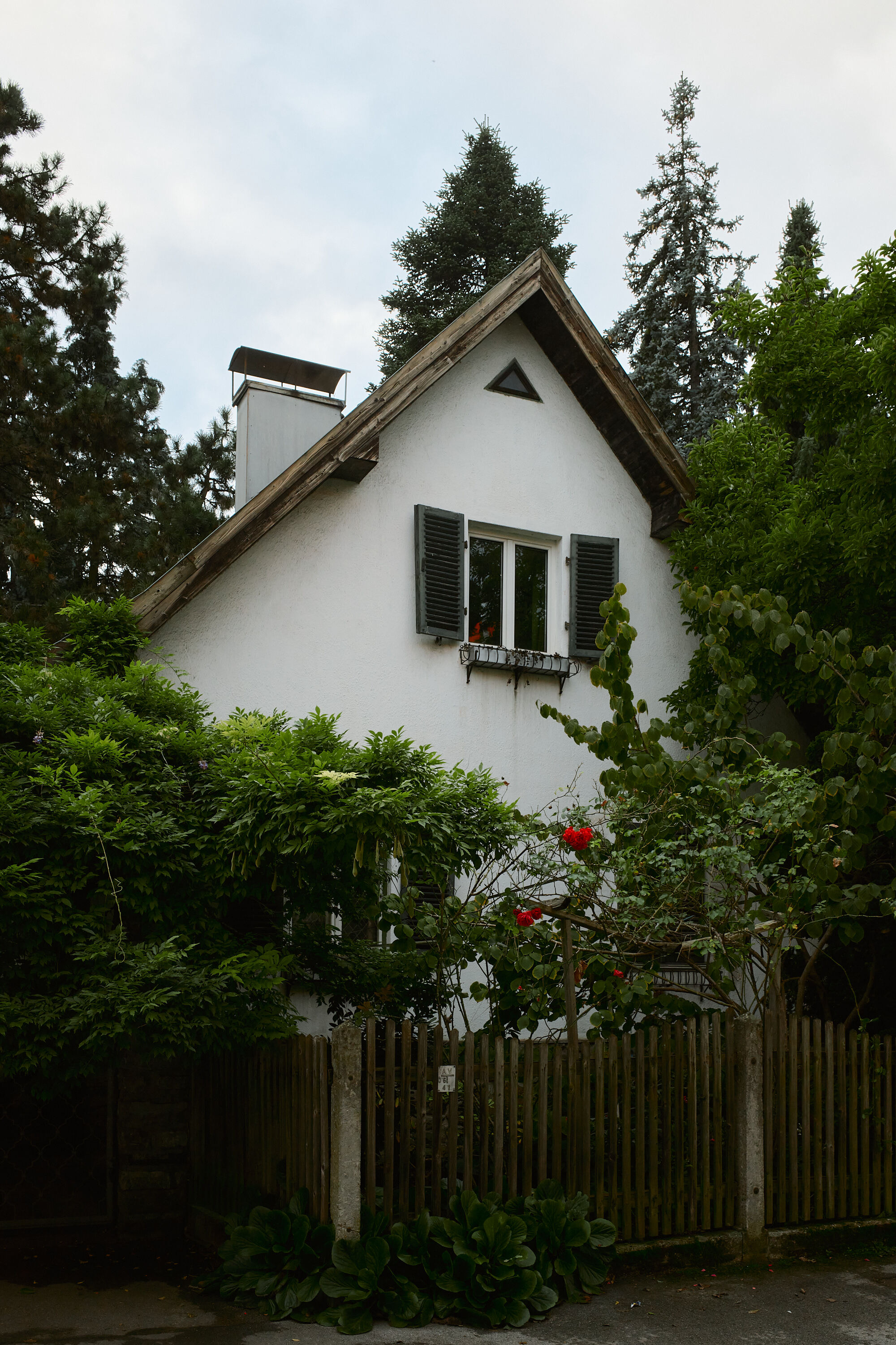 LEICA M11 D L1001969