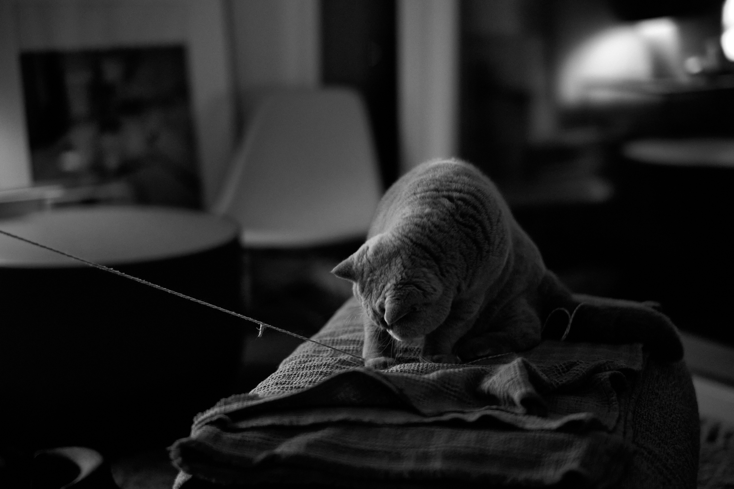 LEICA M11 D L1002003