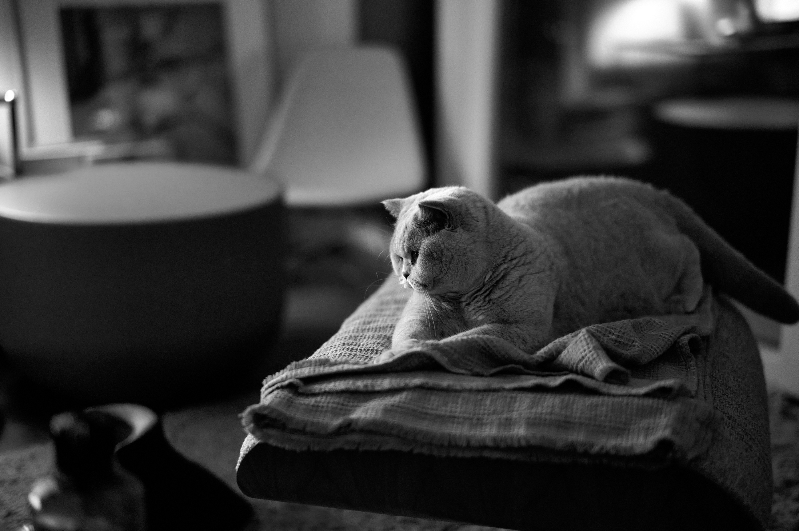 LEICA M11 D L1002004