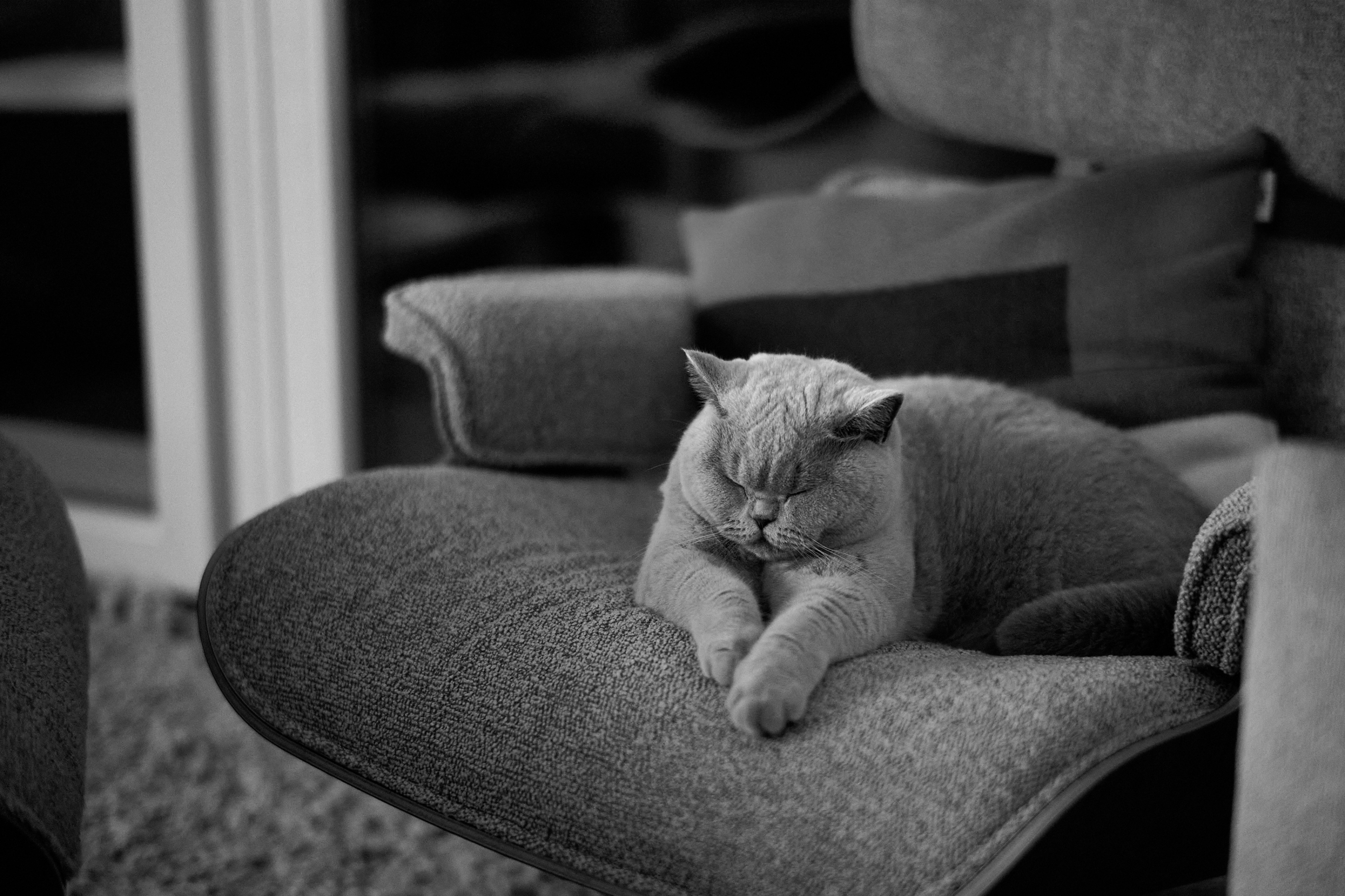 LEICA M11 D L1002005