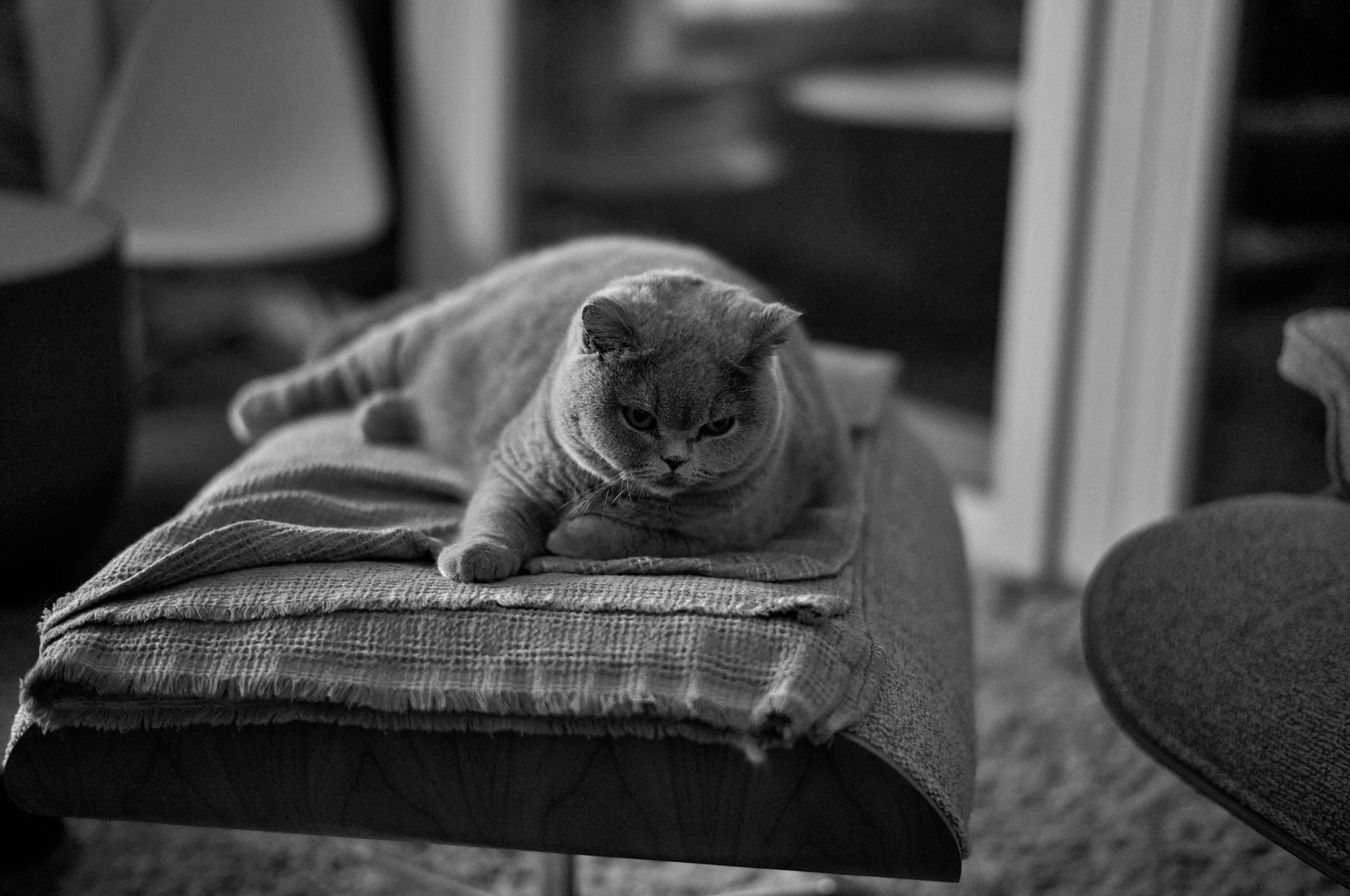 LEICA M11 D L1002013
