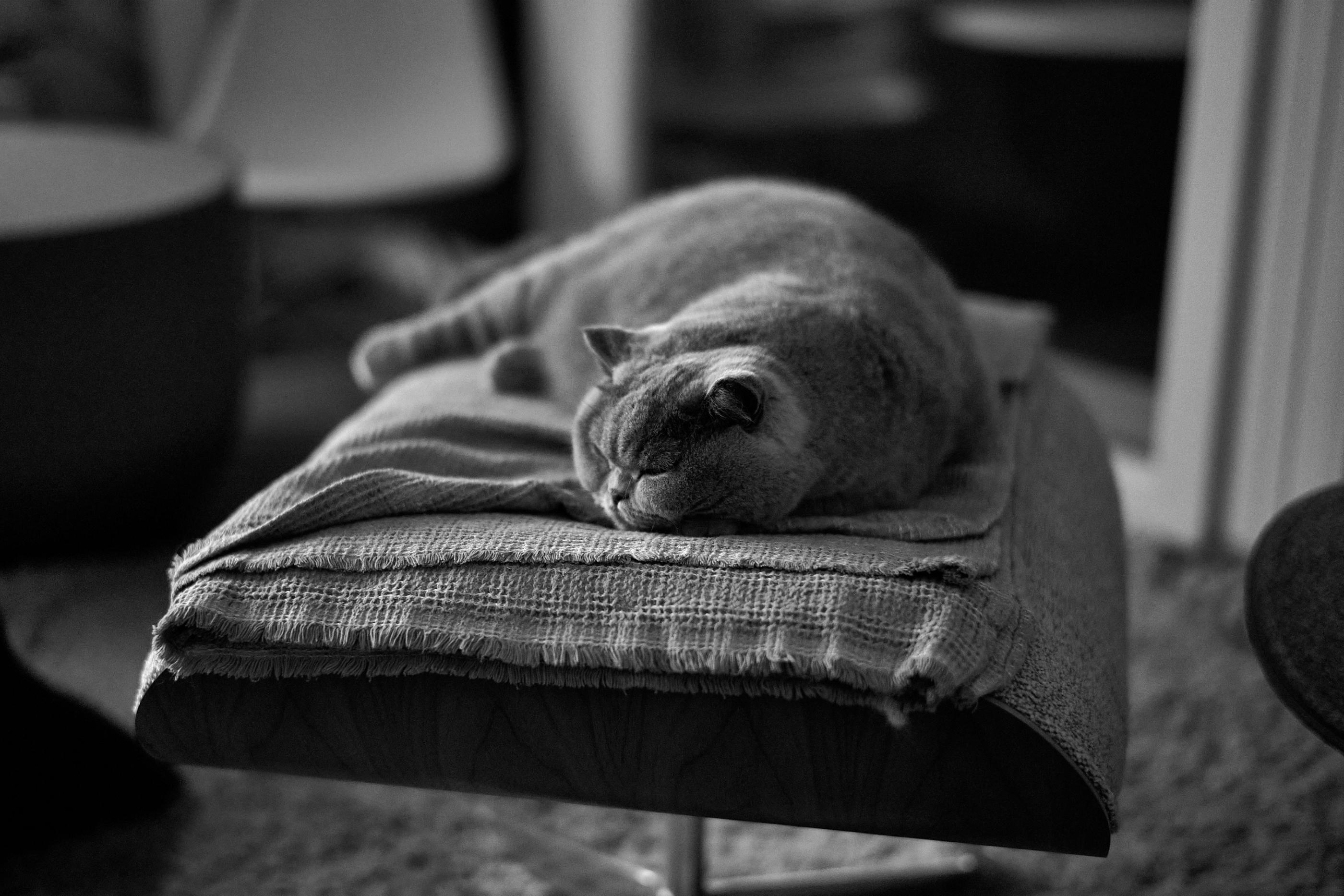 LEICA M11 D L1002014