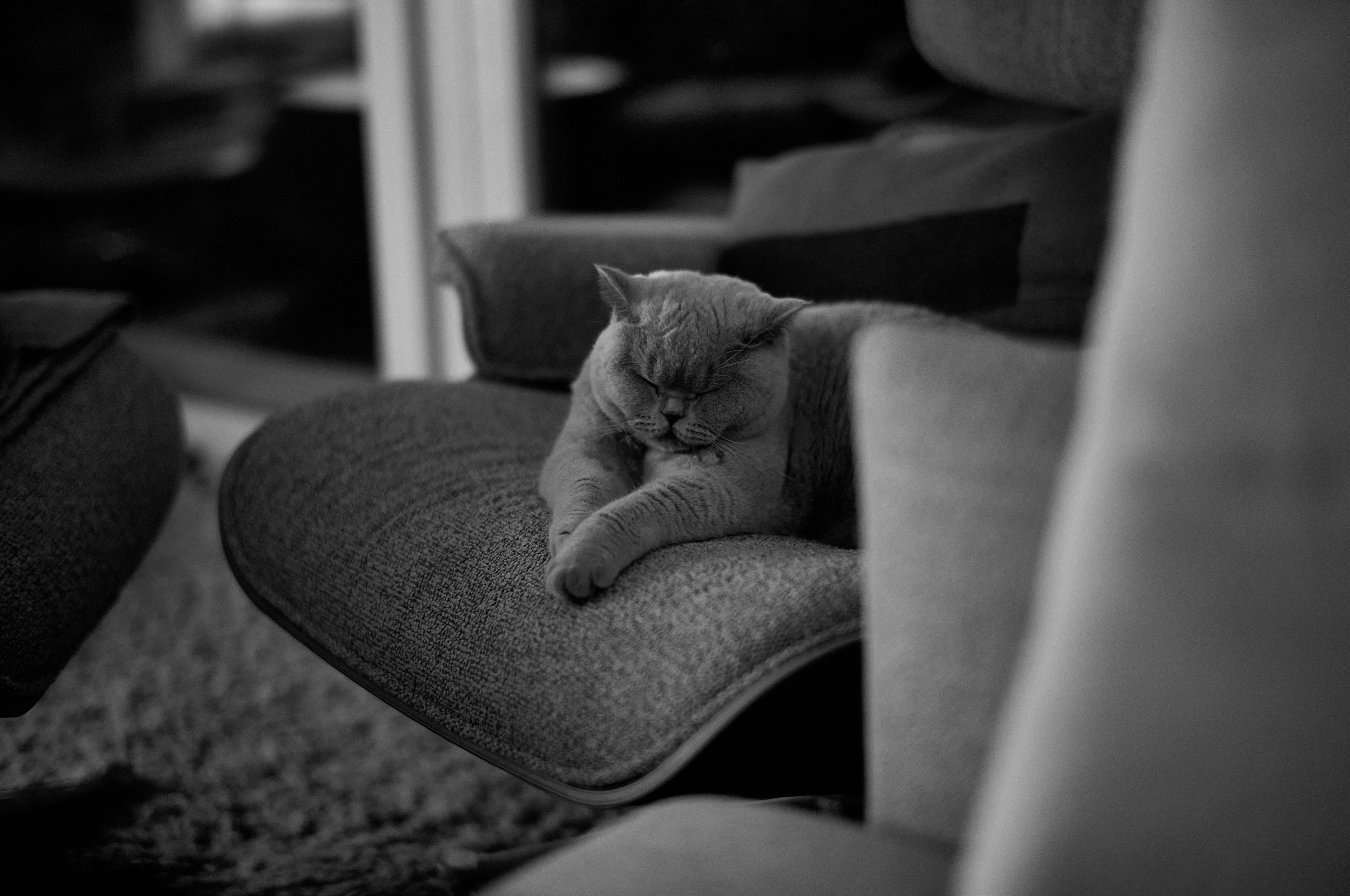 LEICA M11 D L1002015